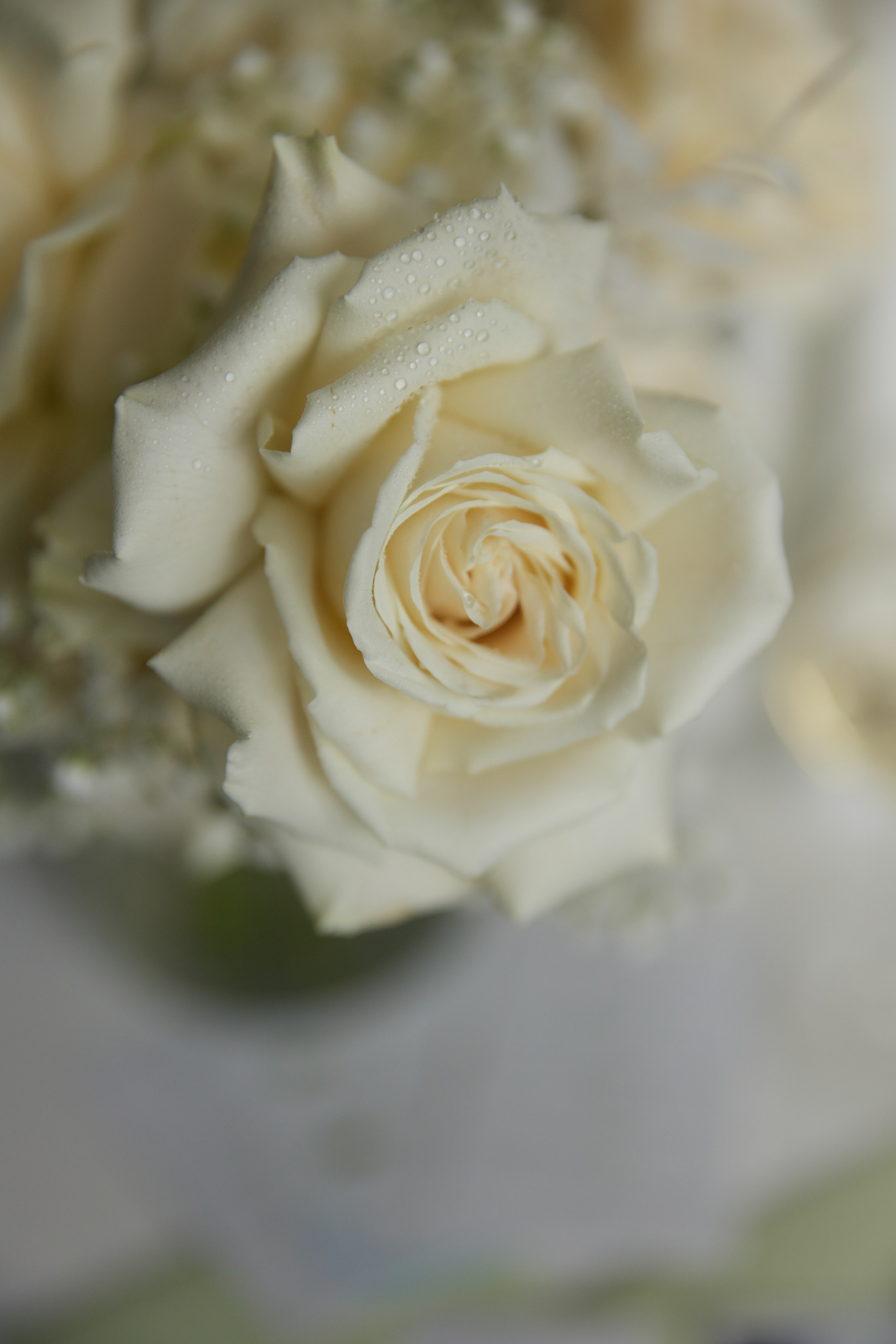 3 метра над уровнем Гор. Профессиональный фотограф Светлана Писарева