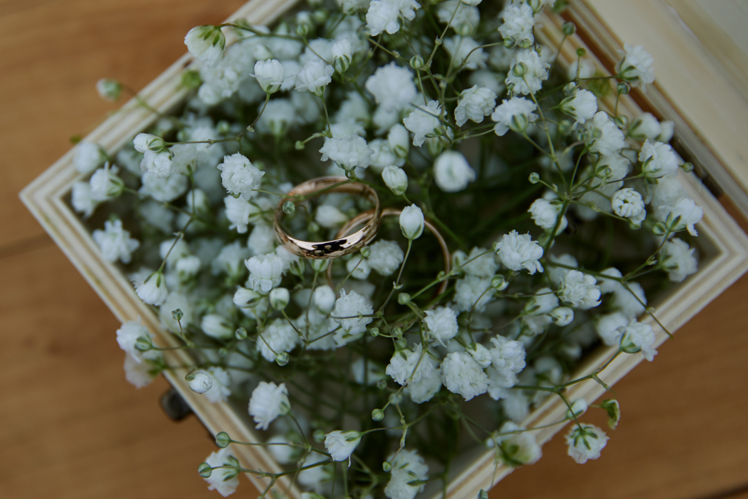 3 метра над уровнем Гор. Профессиональный фотограф Светлана Писарева