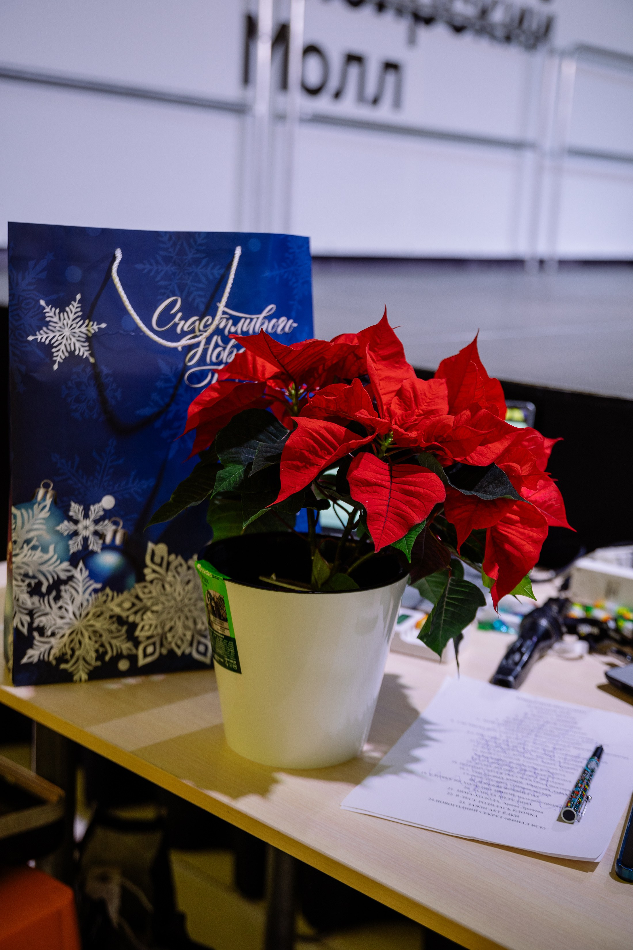 Отчетник «Изумрудный город». Фотограф Юлия Мальцева