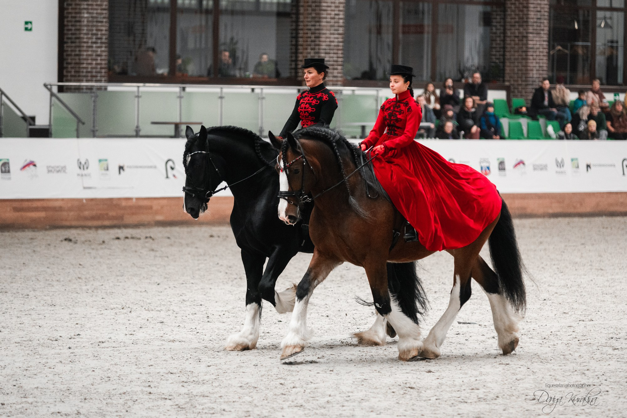 8-я международная выставка Конная Россия. Конный фотограф Куракина Дарья • Фотосессии с лошадьми