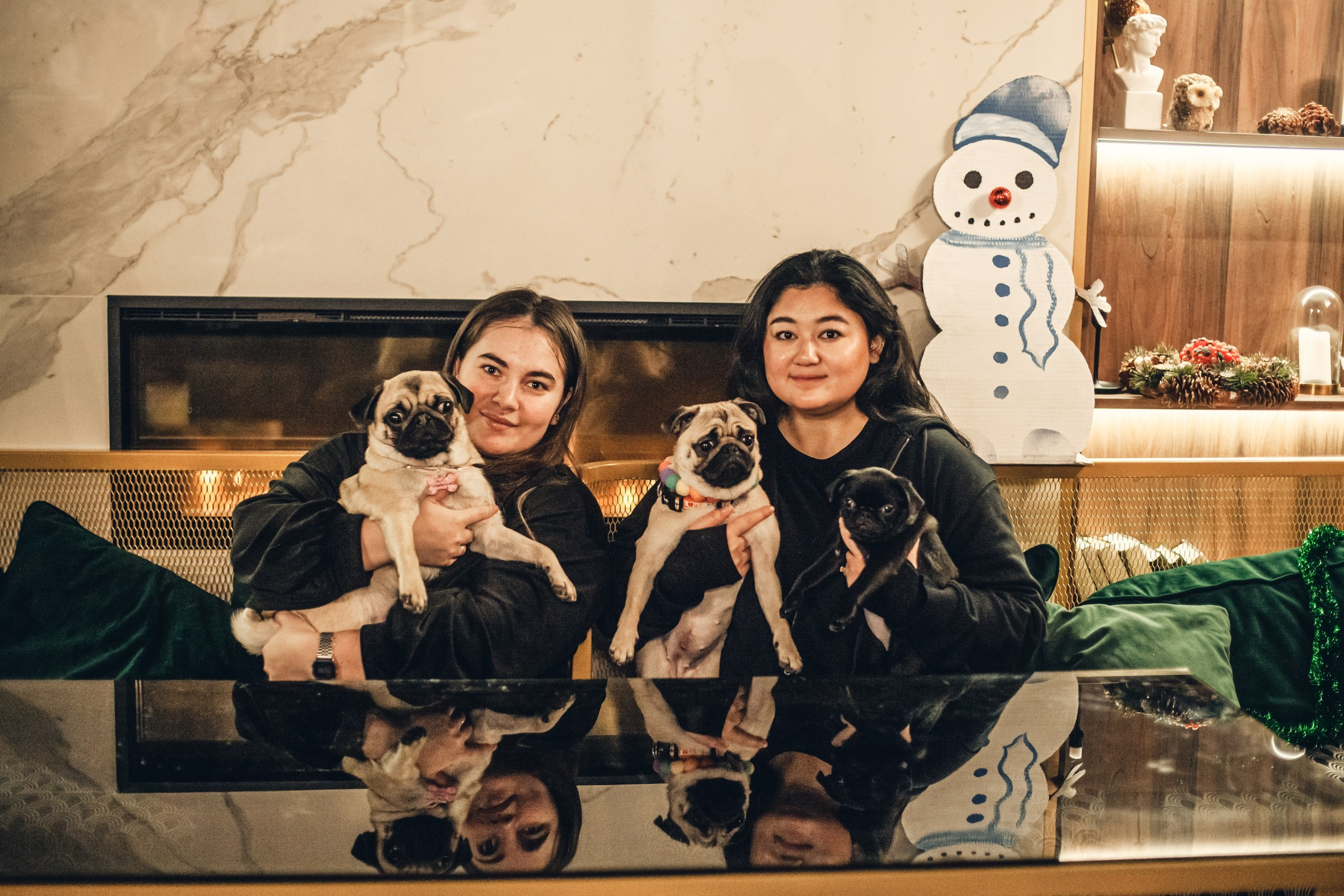 Мопсовстреча 02.12.2023. Фотограф-анималист Татьяна Степанова