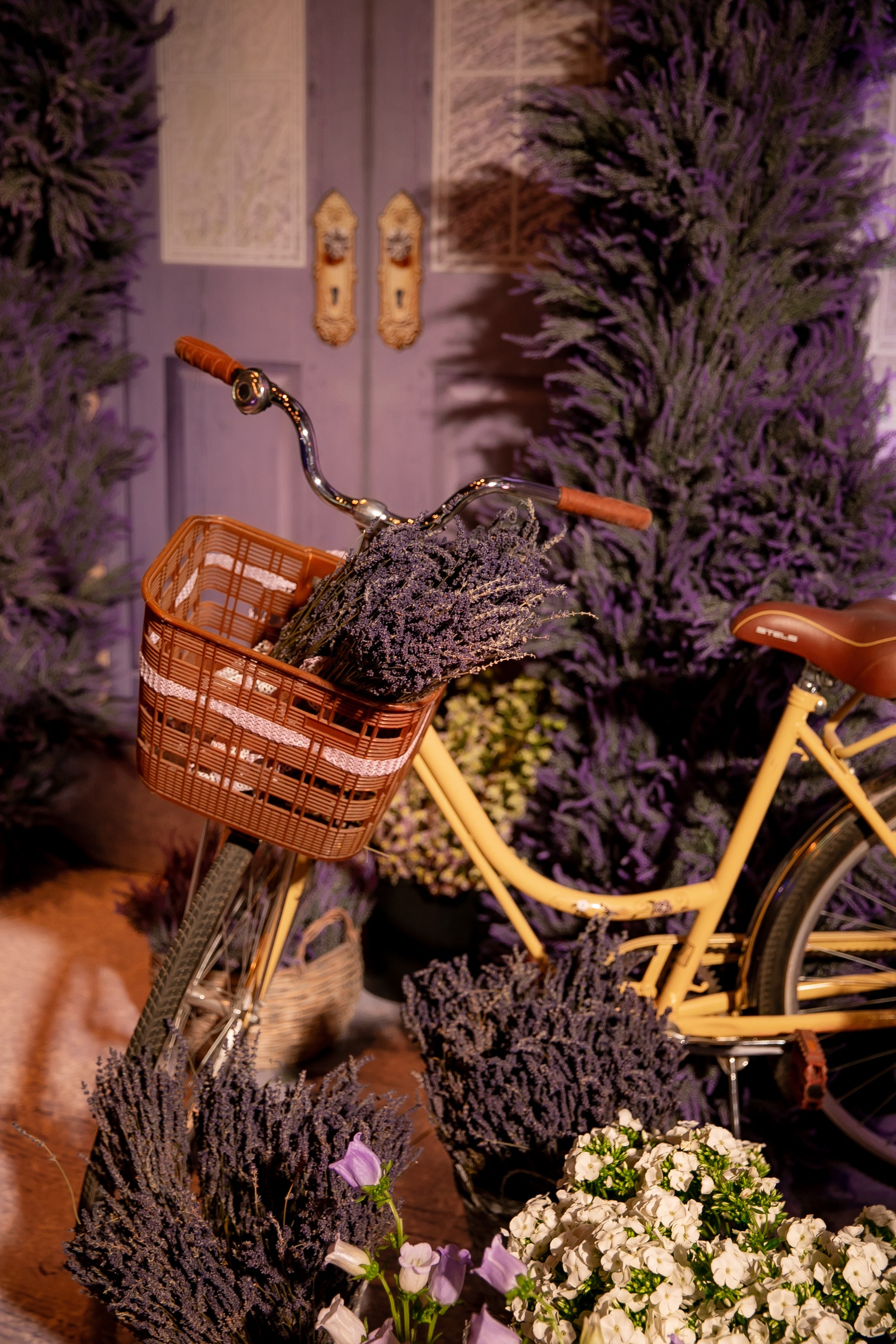 Дни рождения взрослые. Семейный фотограф в Москве