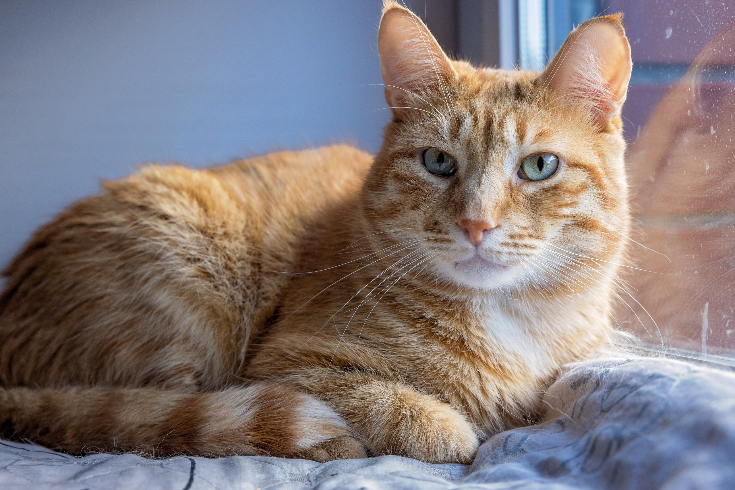 Рекламная съемка в Москве. Геннадий Степанов —фотограф в Москве