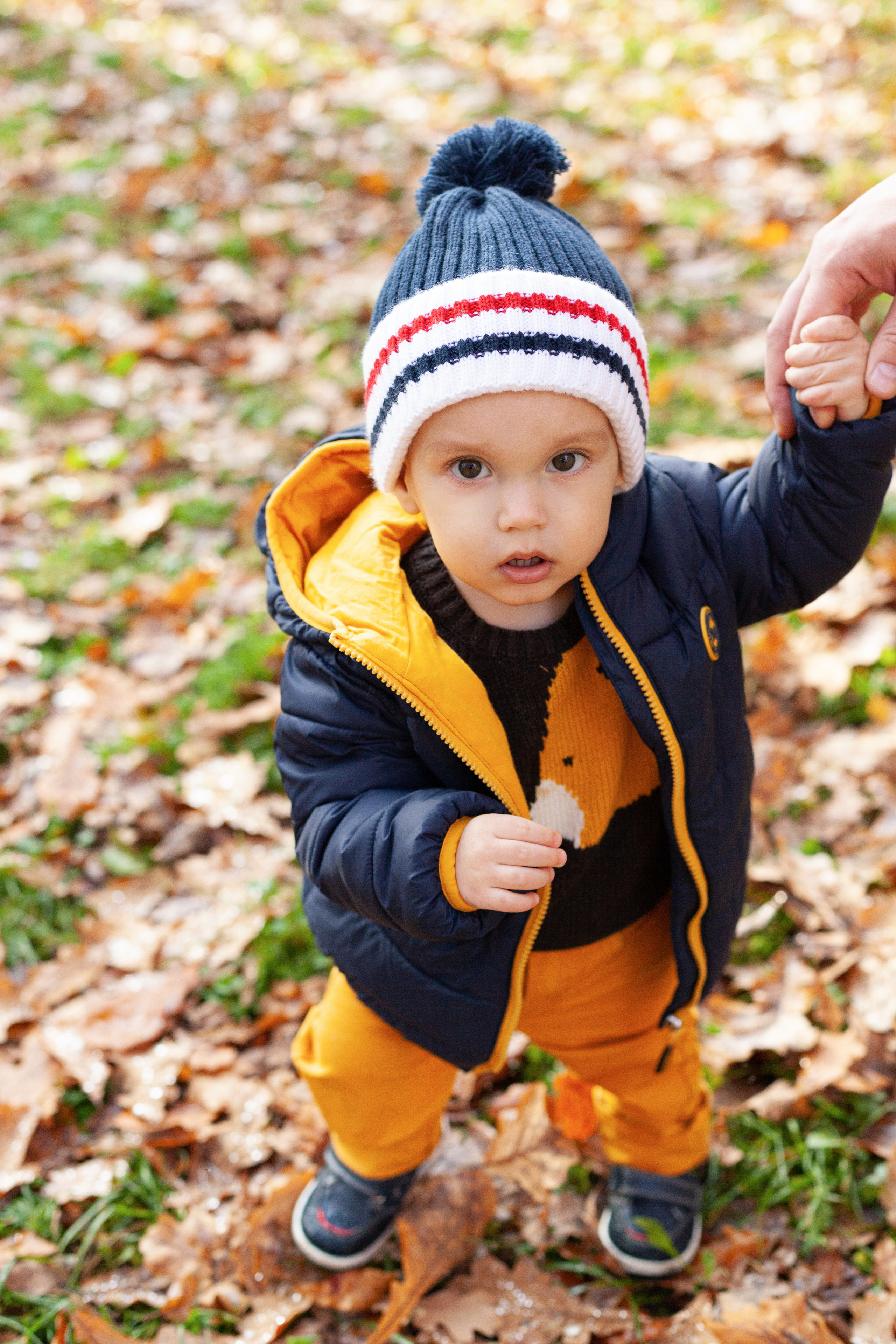 Осенняя семейная фотопрогулка на острове Елагин. Детский и контент фотограф Надя Волкова Санкт-Петербург