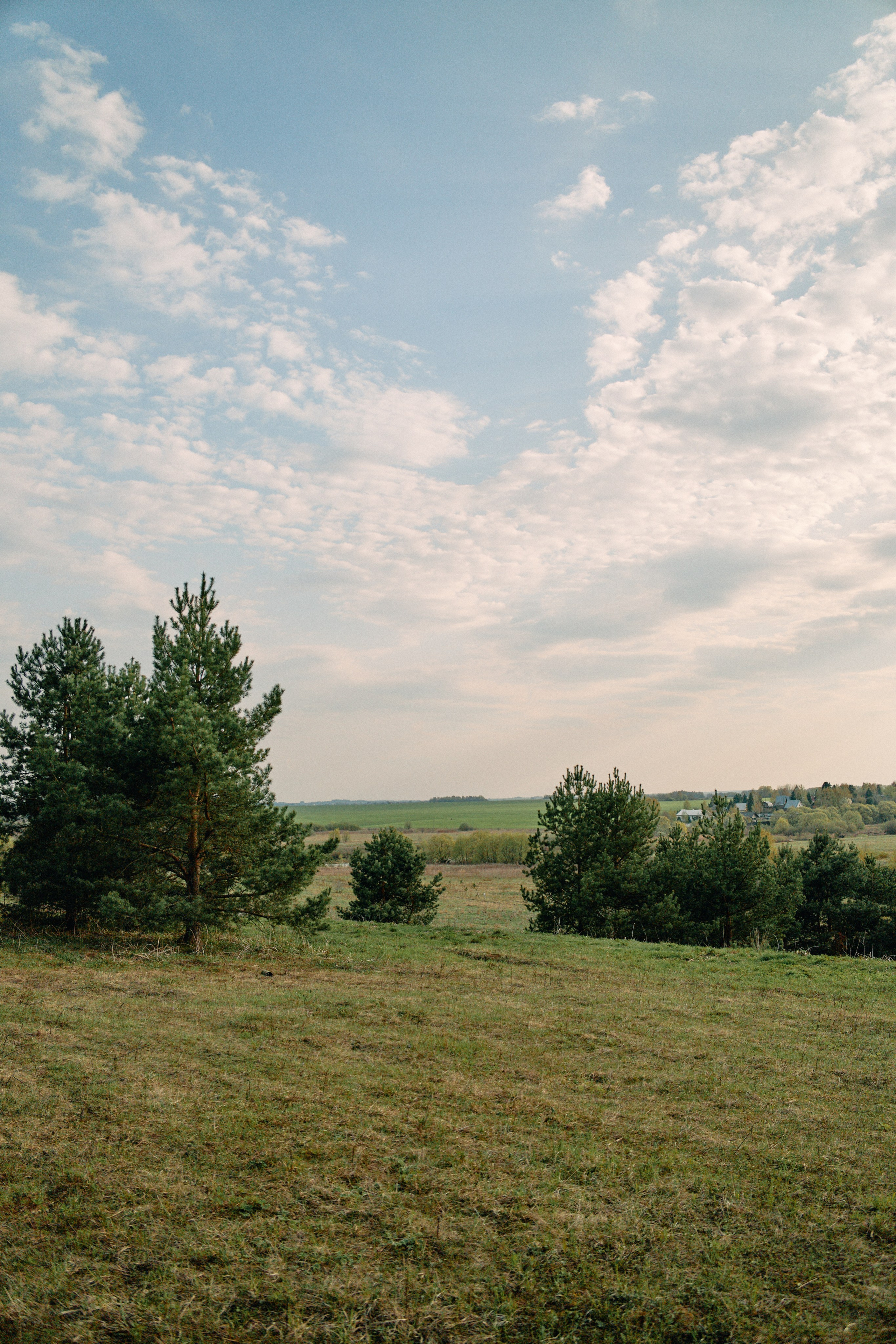 Бутик-отель Поле летом. Профессиональный Фотограф во Владимире, в Москве и в Суздале — Полина Романычева