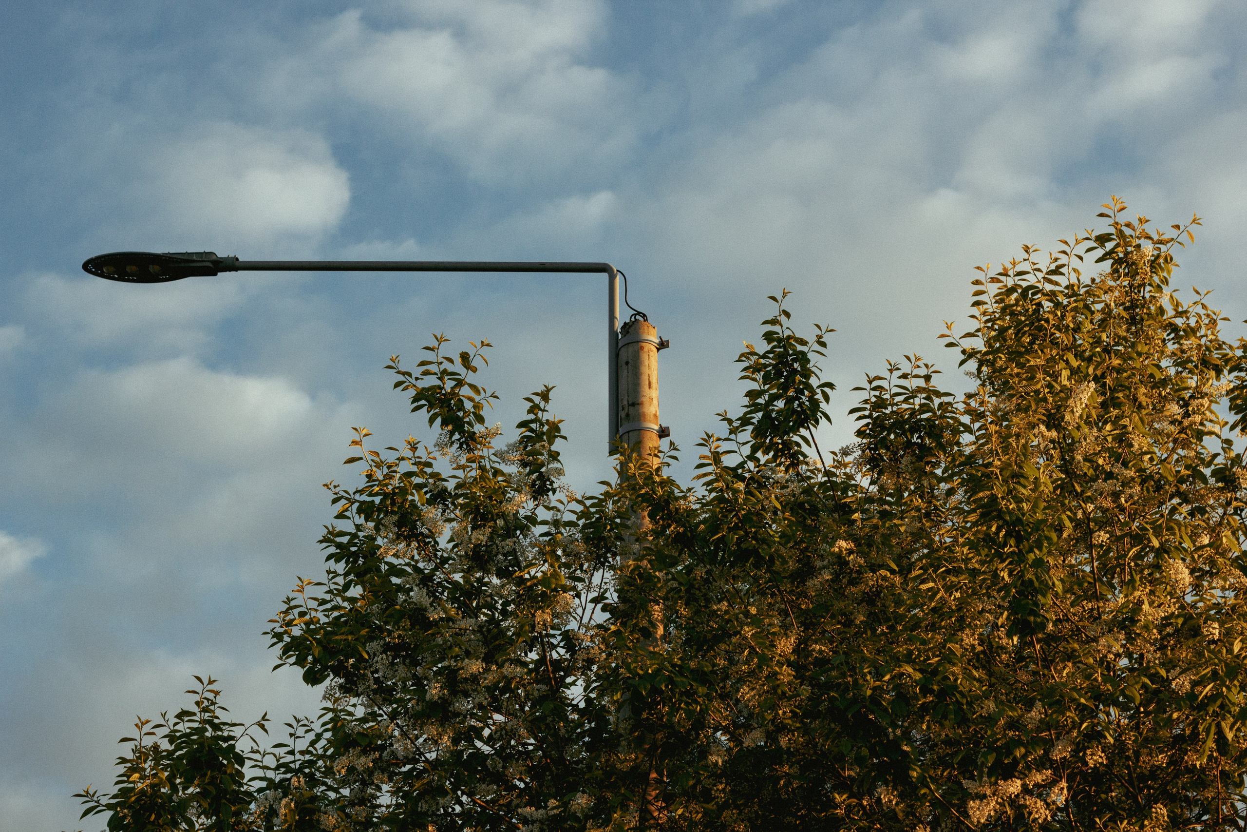 15.05.2025 | Сосновоборск. Kuznetsov | Фотограф в Красноярске