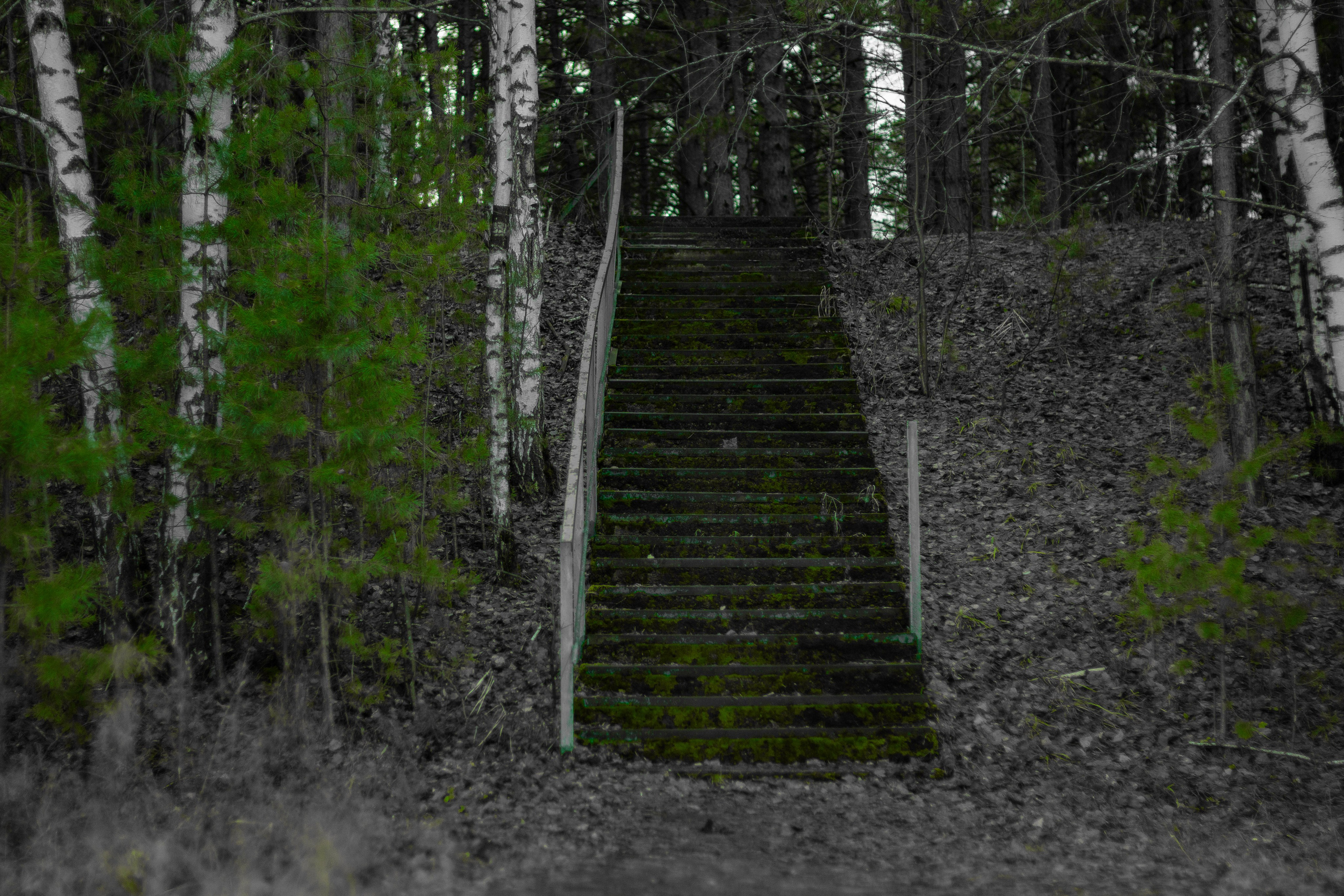 04.11.2024 | Сосновоборск. Kuznetsov | Фотограф в Красноярске