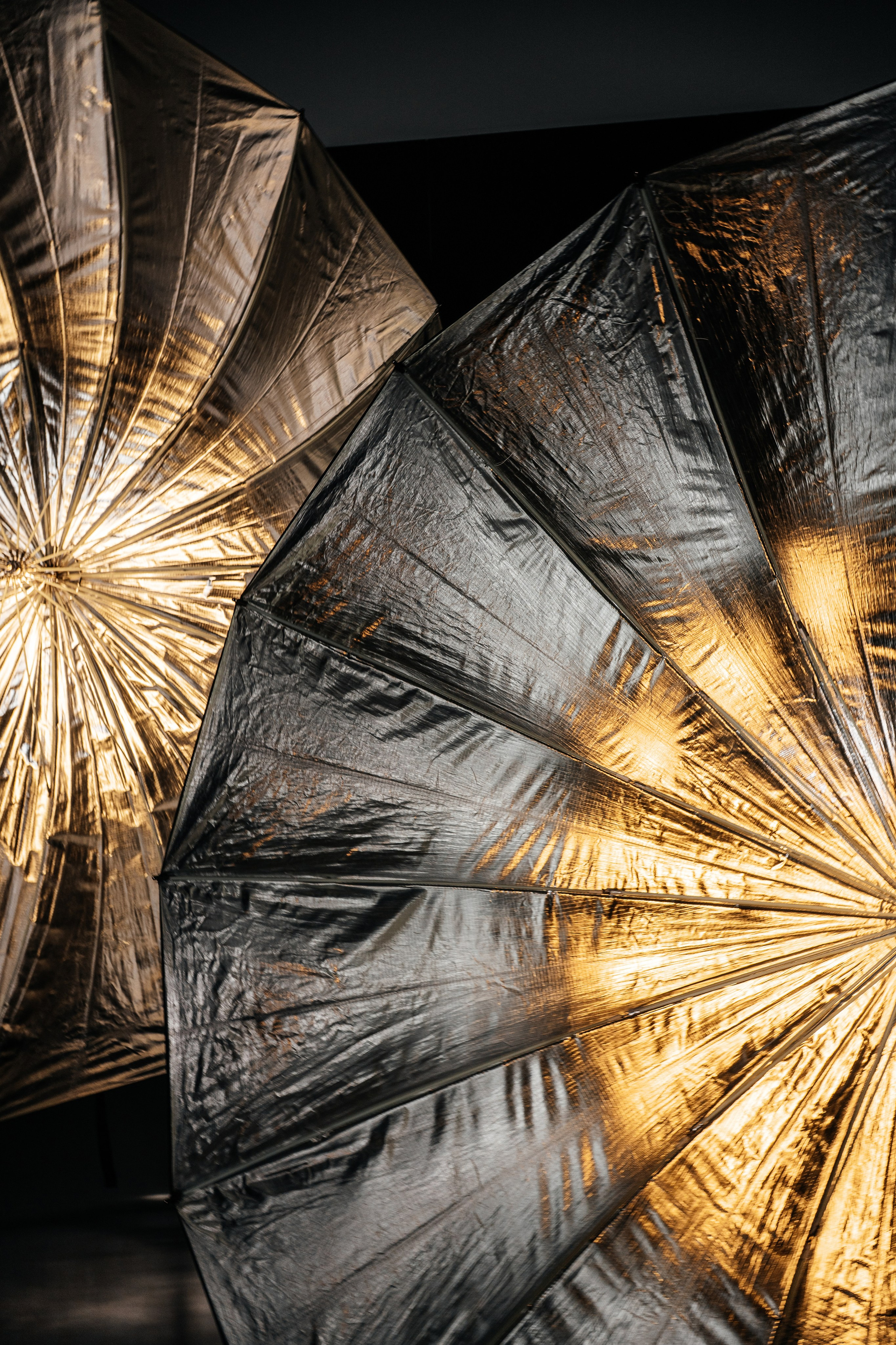 Roma. Wedding photographer in Moscow and around the world Andrey Medvednikov