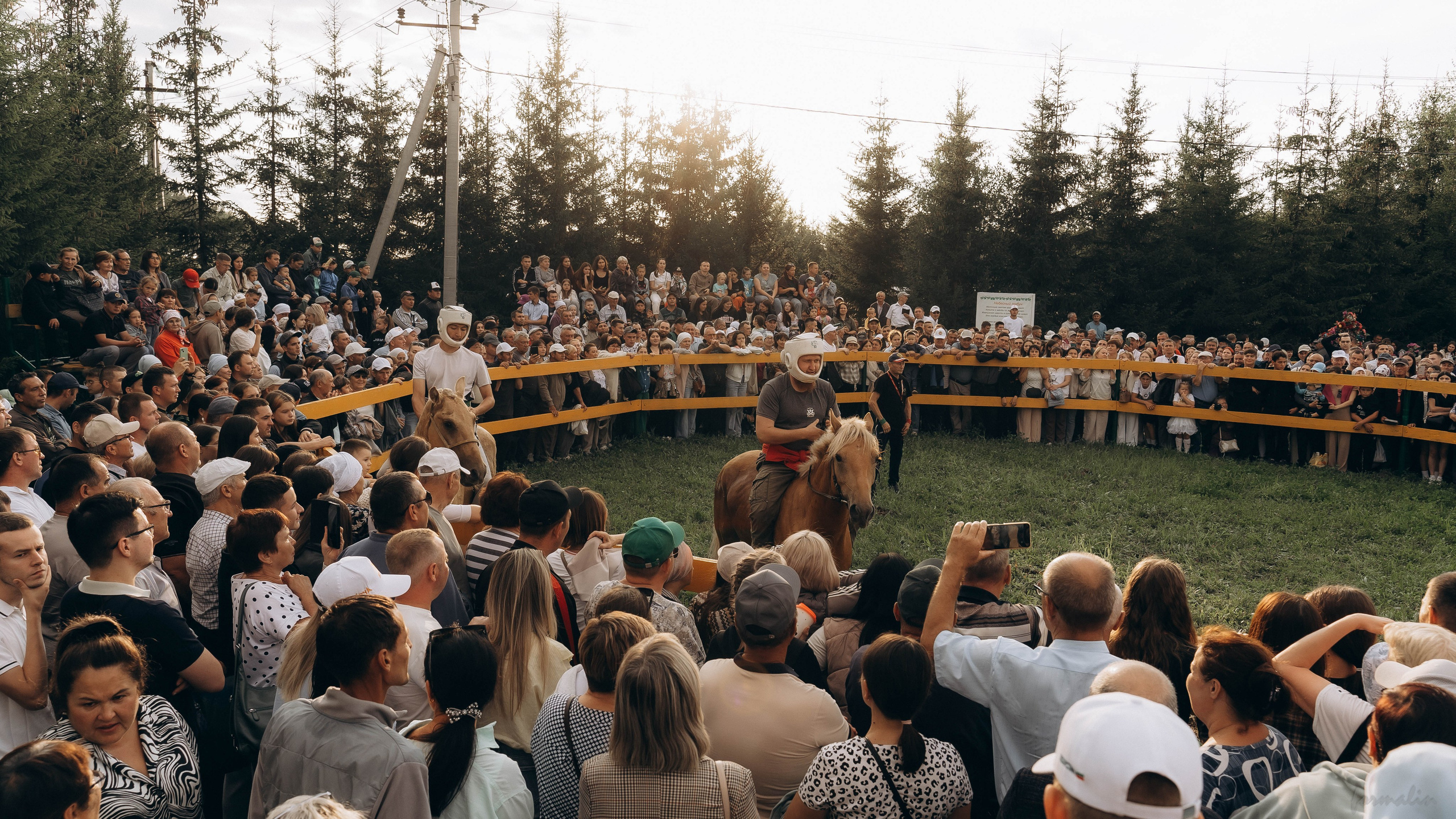 День Коня. Алиса Никитцова | Фотограф в Казани