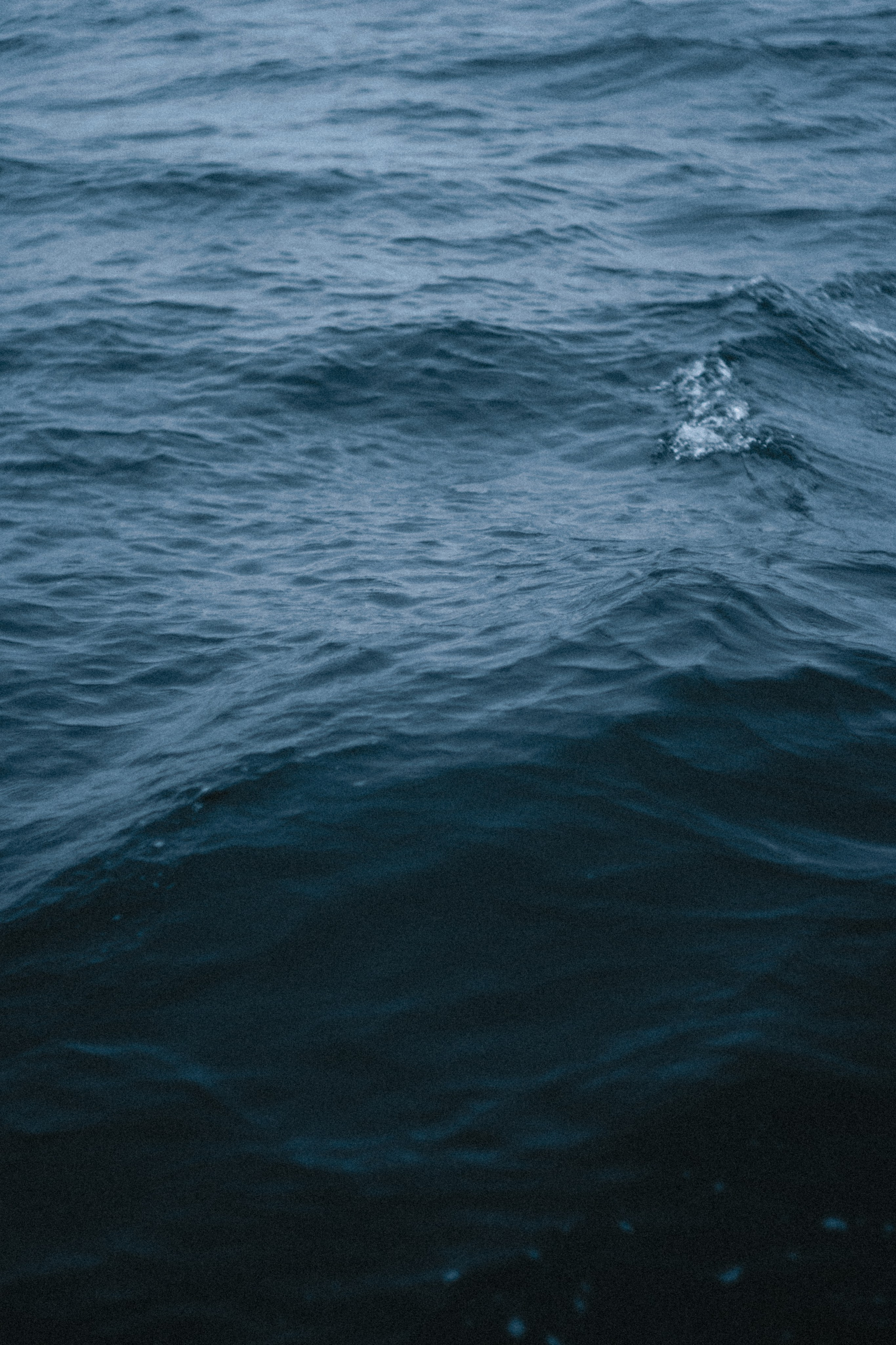 Териберка, Мурманск. Фотосъёмка для компании по организации туров в коллаборации с Яндекс 360