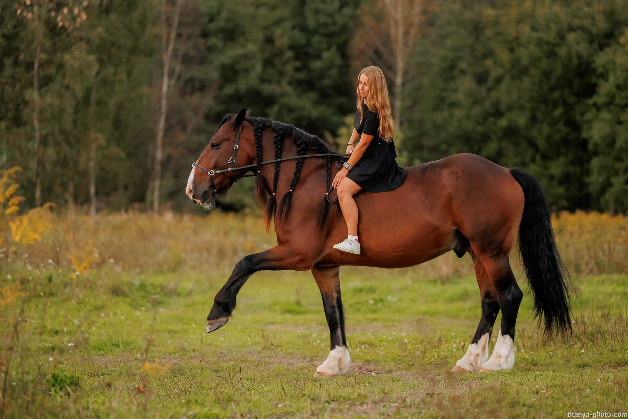 Закатная семейная фотосессия: про Настю и её дружную семью. Фотограф собак, фотограф-анималист Аня Титова (Titanya). Москва