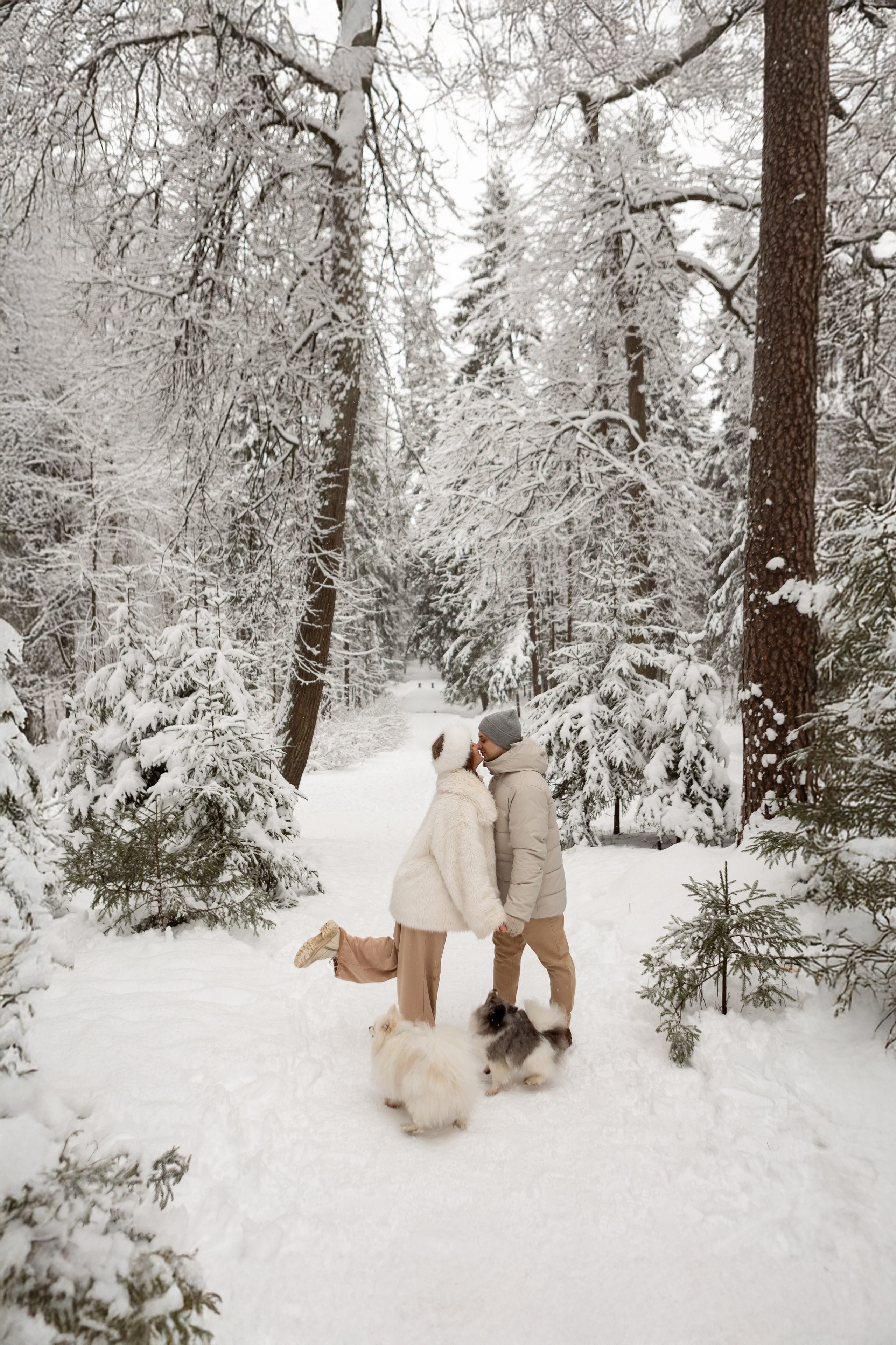 Новогодняя фотосессия с собачками в шуваловском парке. Свадебный фотограф в СПБ | Санкт-Петербурге Анастасия Рахимгулова