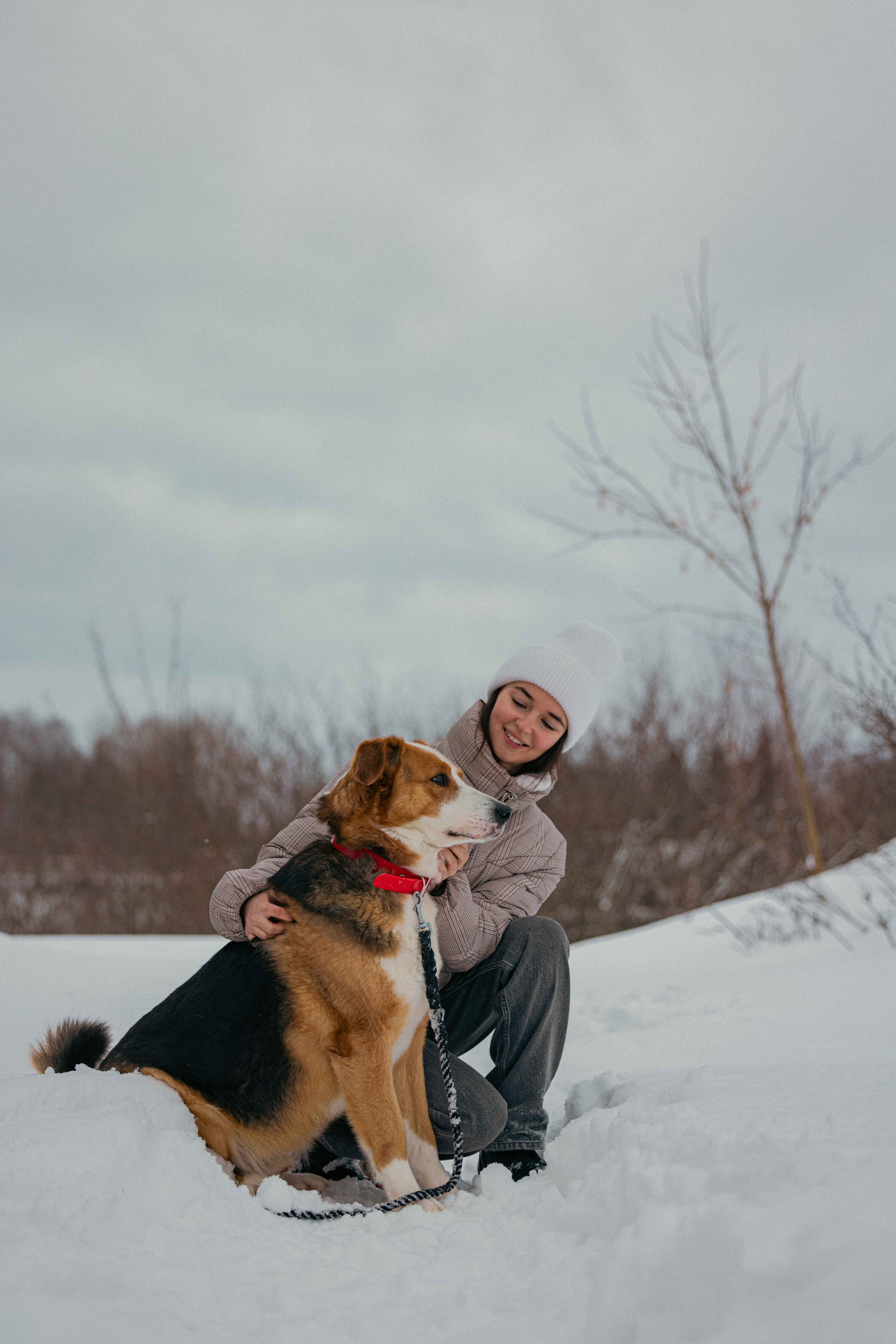 Петя. Фотограф-анималист в Москве Лера Черноног