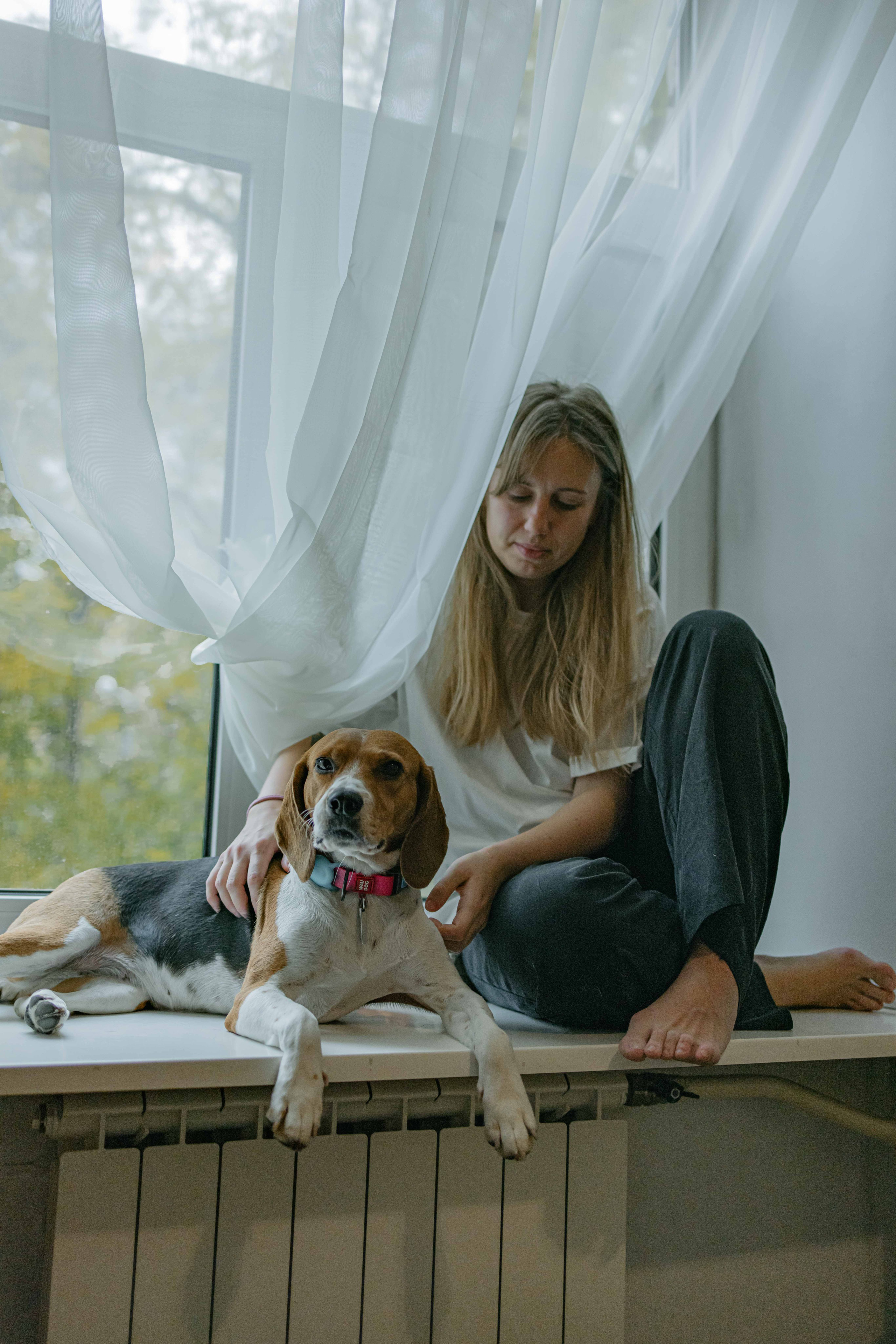 Света и Ива. Фотограф-анималист в Москве Лера Черноног