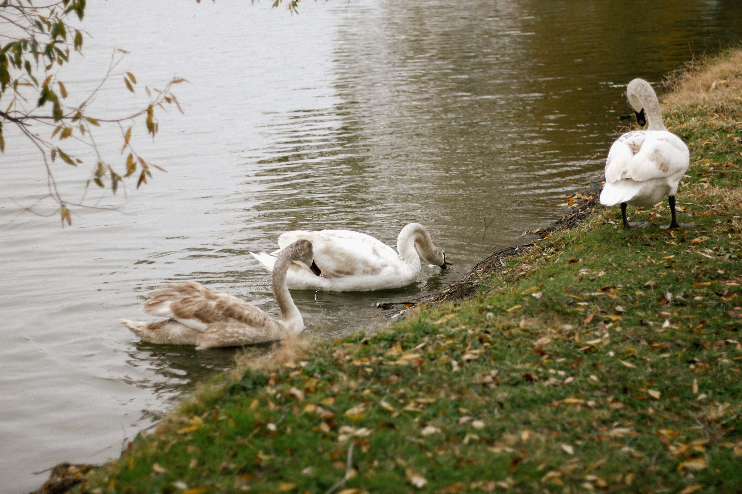 A&K. Фотограф Краснодар