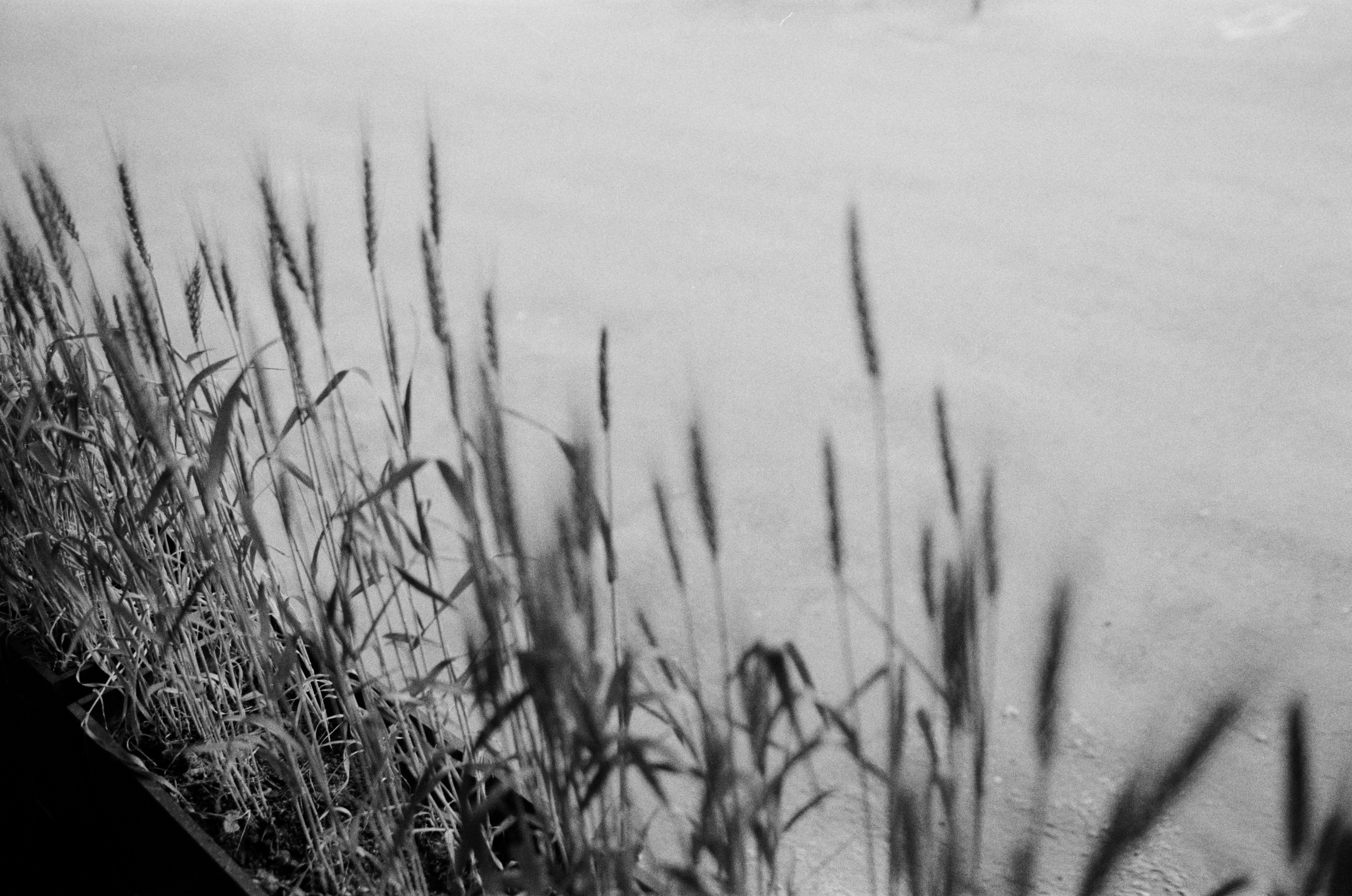 Film. Photographer, Masha Berliner