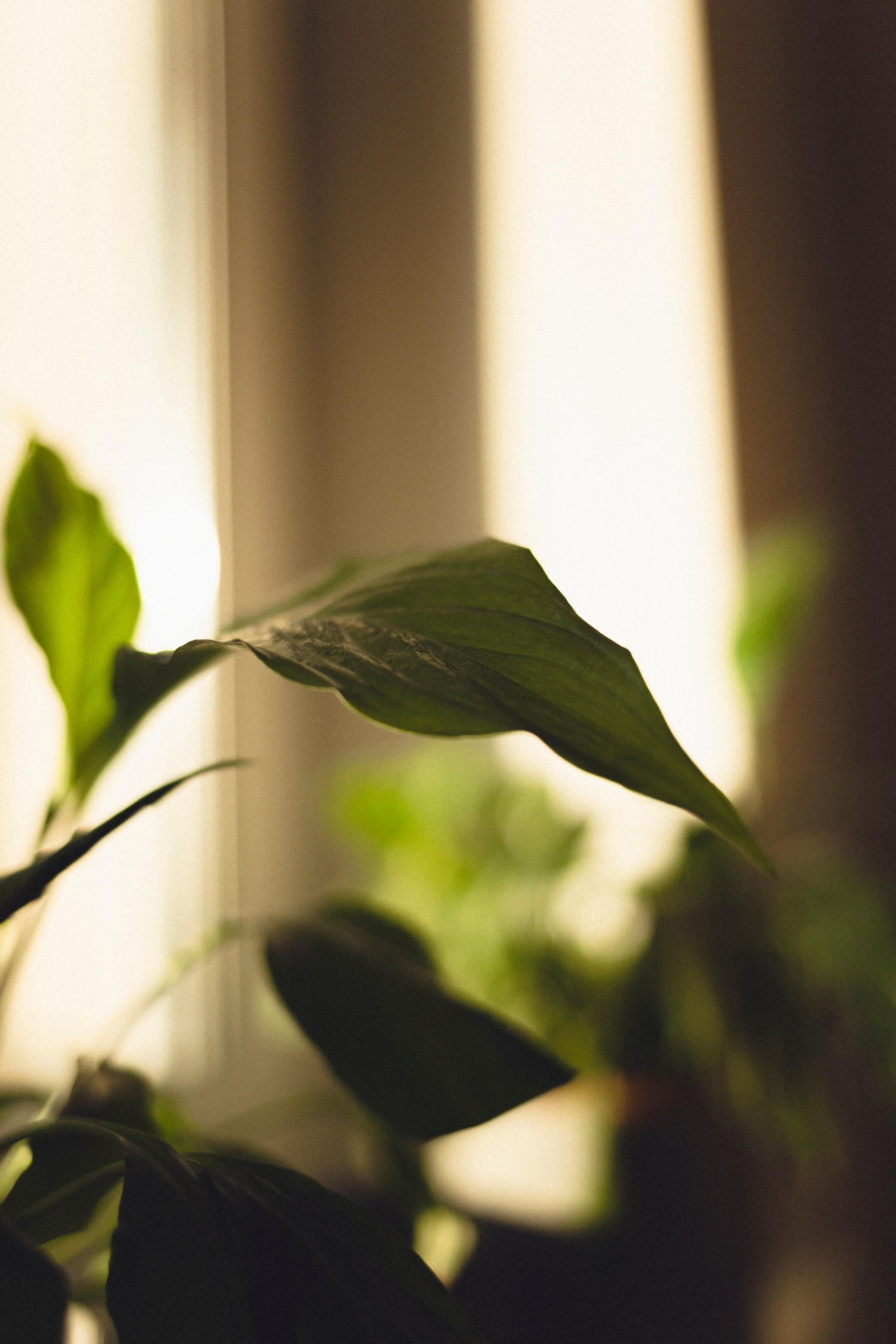 Love-story в Екатеринбурге: Юля и Дима. Фотограф Марина Рерих. Марина Рерих — портретный фотограф в Екатеринбурге