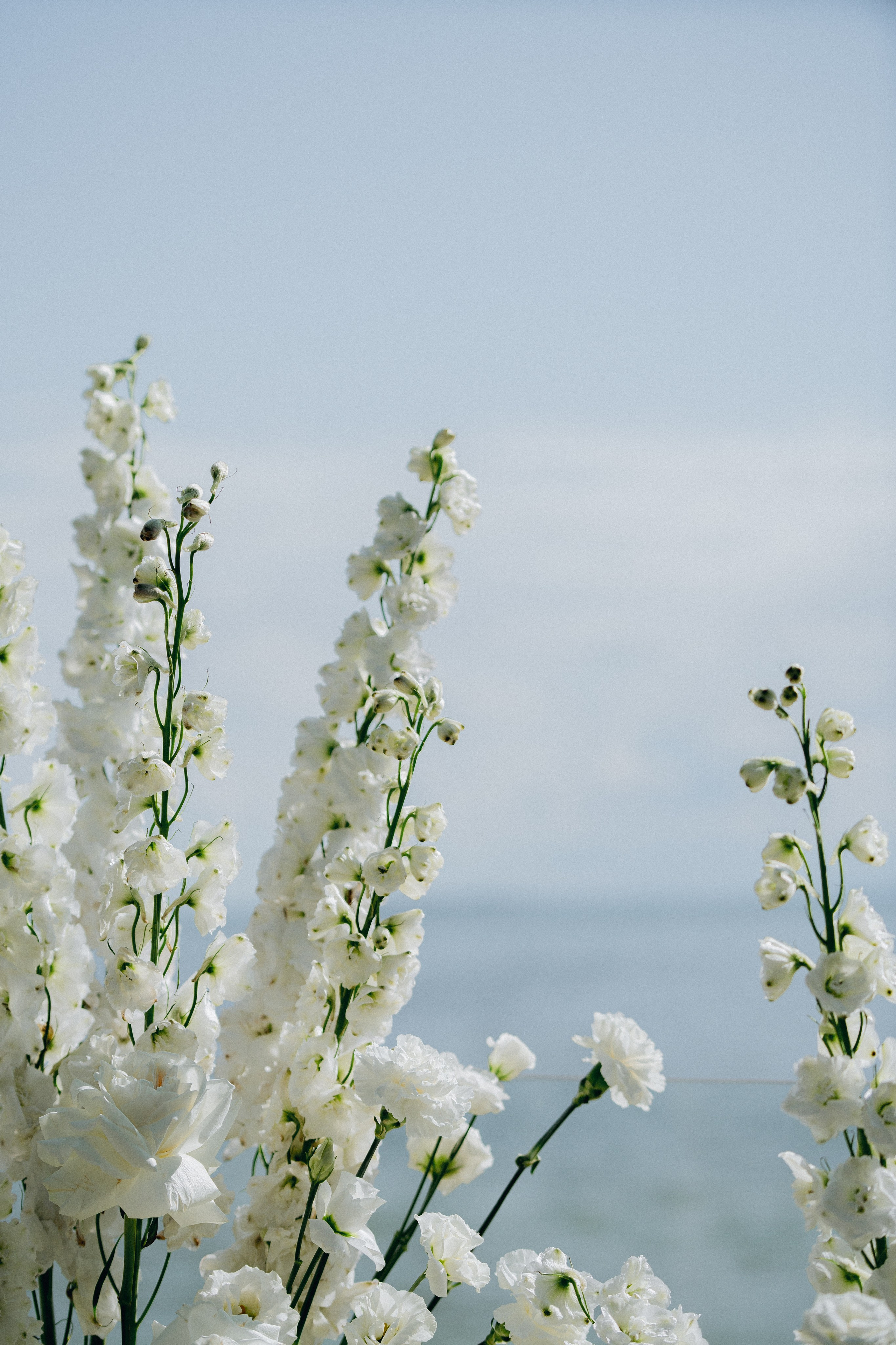 Стас и Александра. Свадебный фотограф в Санкт-Петербурге