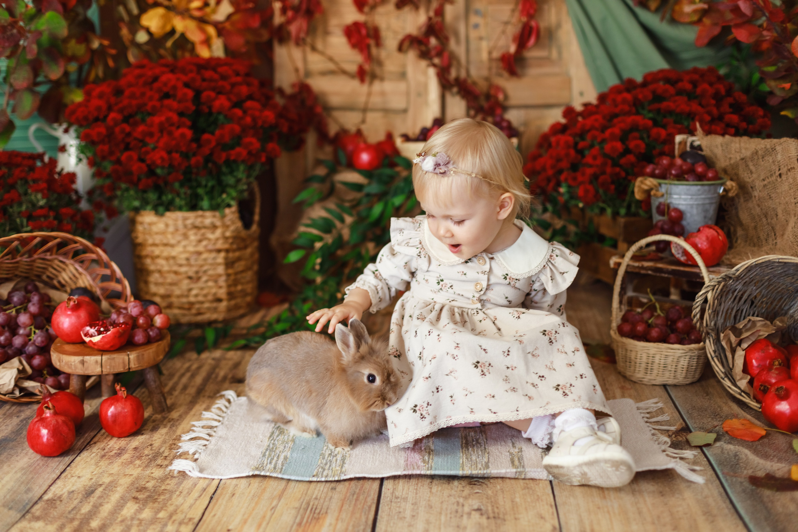 Гранаты 2024. Детский и семейный фотограф в Краснодаре Альбина Морозова