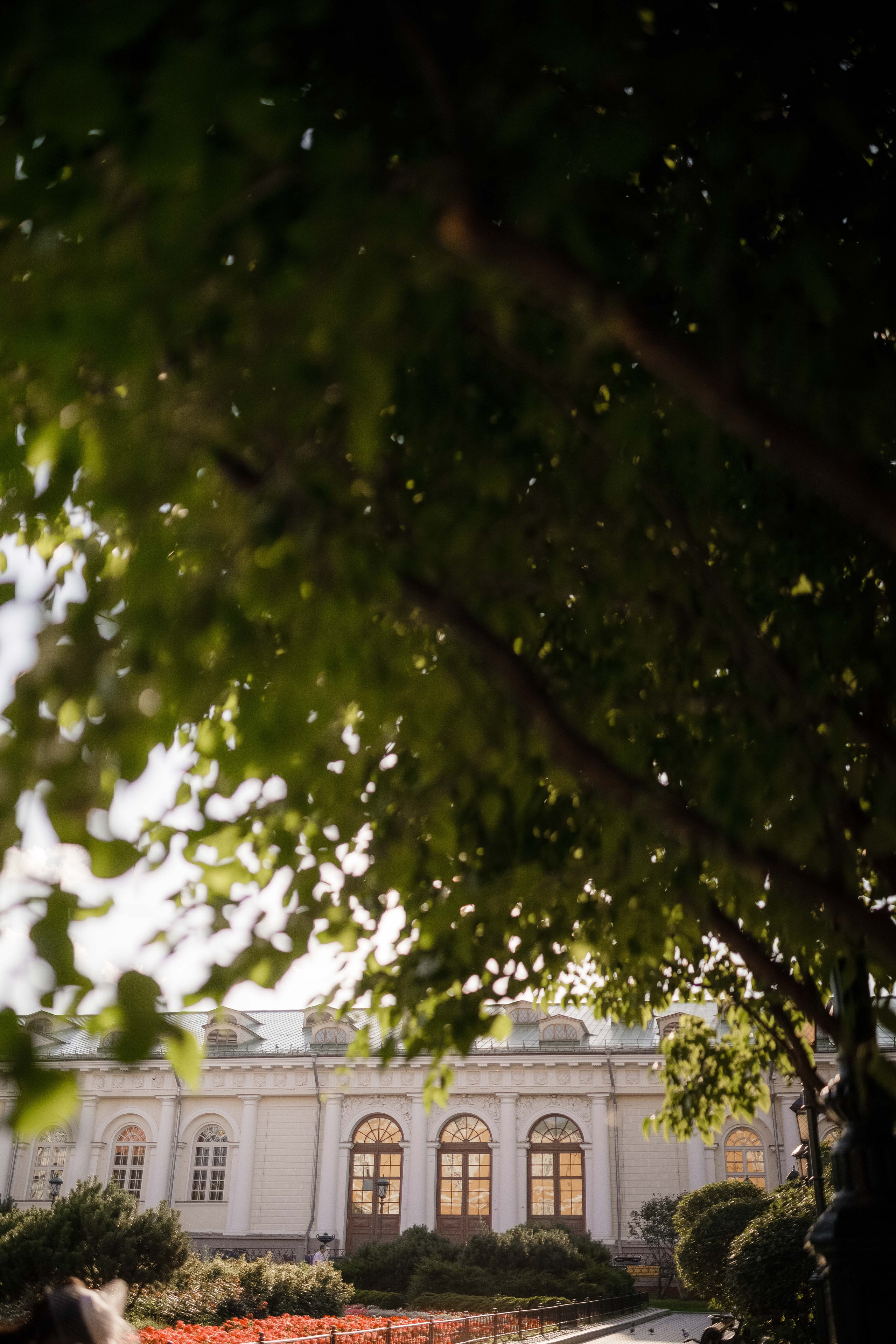 Зама и Андрей. Фотограф Светлана Голицына