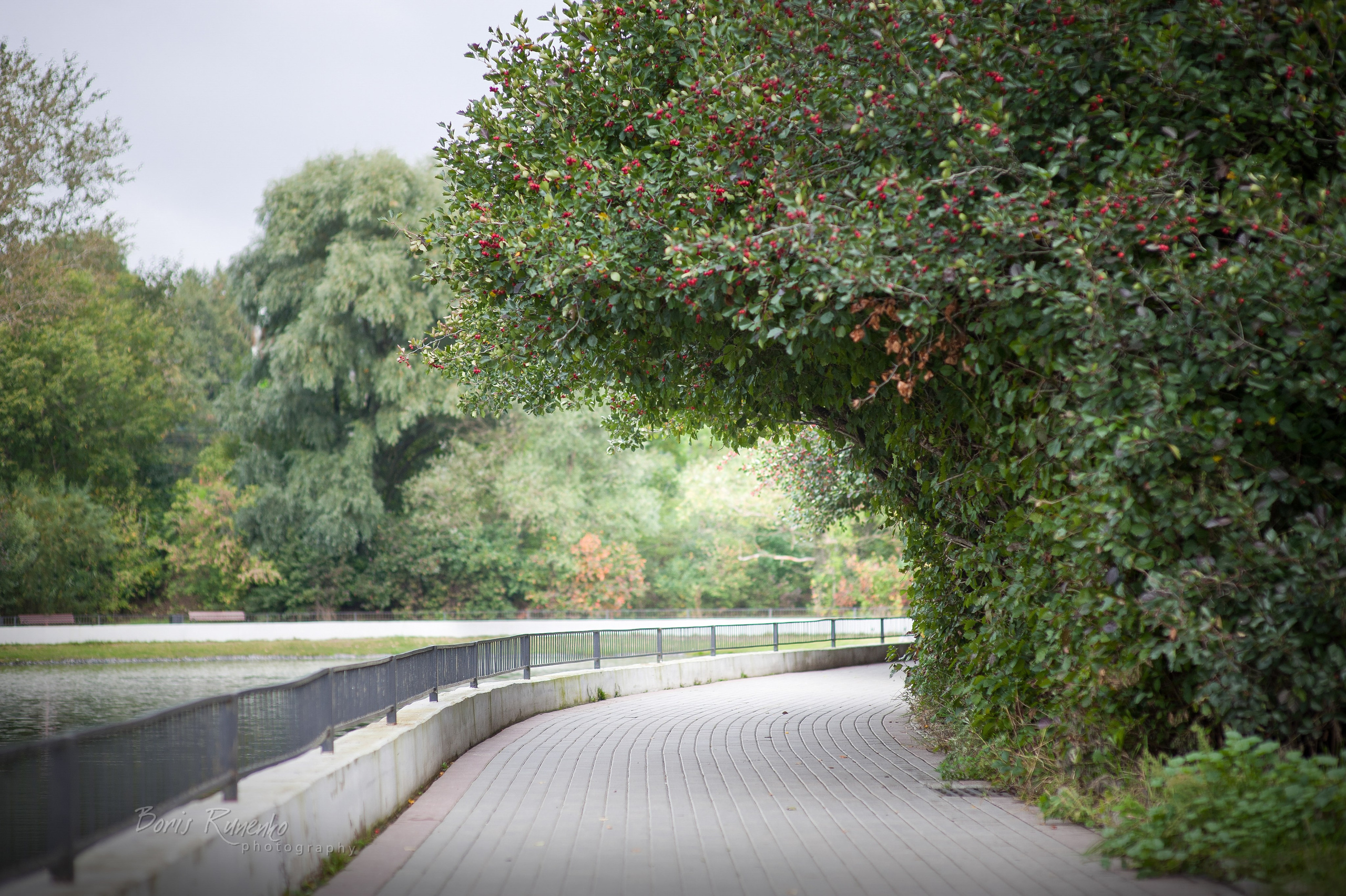 Пейзажный альбом 2. Борис Руненко. Пейзажный и travel-фотограф