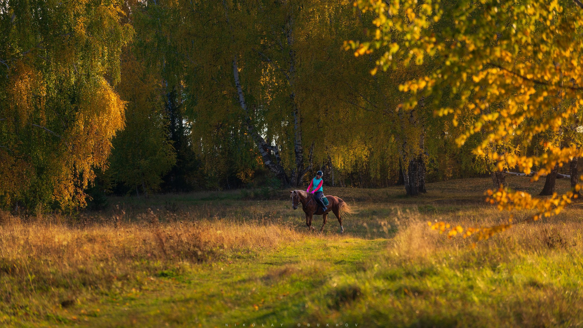Осенняя фотосессия с лошадьми в Черноисточинске.