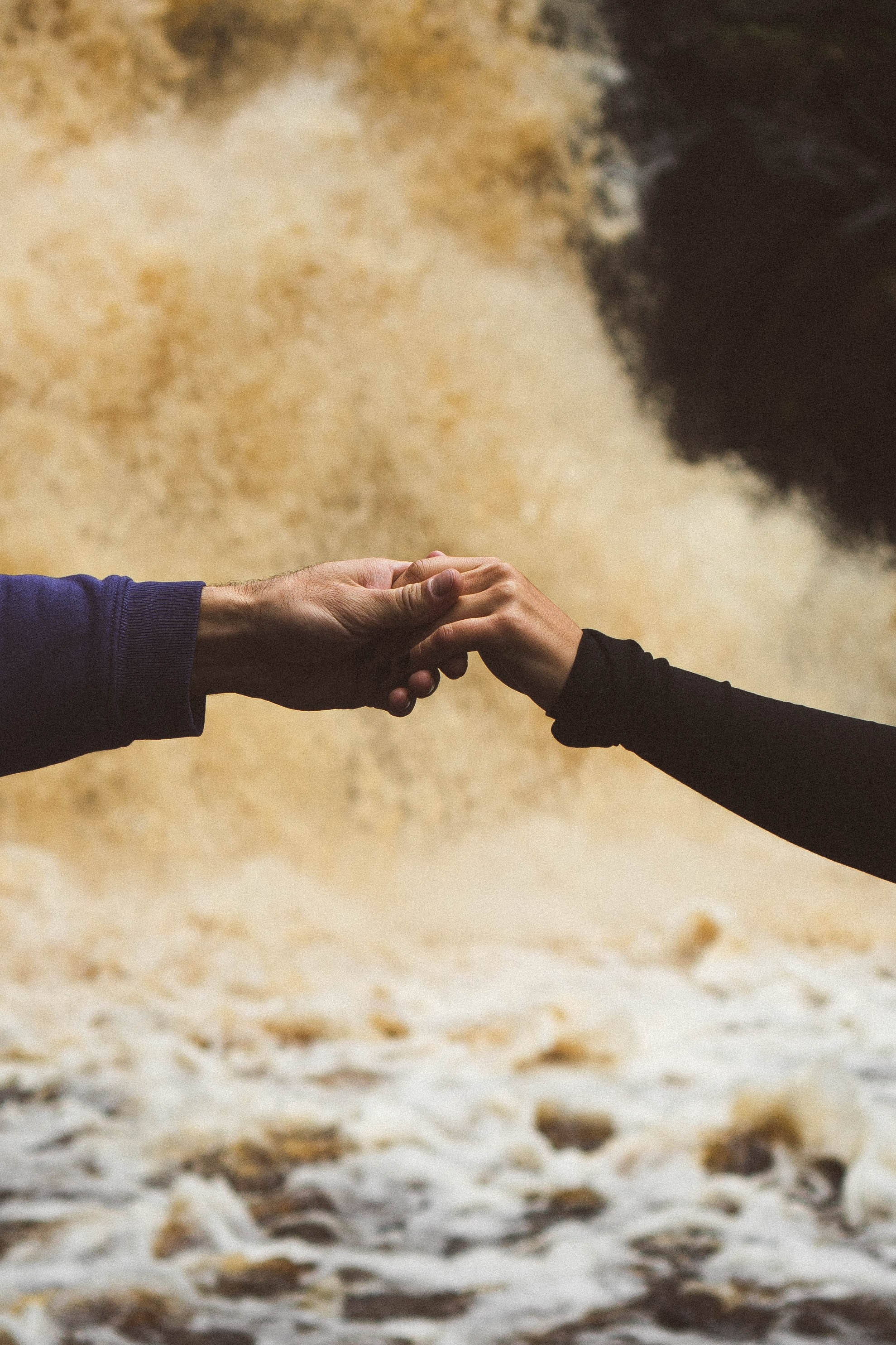 Прогулка на природе. Профессиональный фотограф, Санкт-Петербург — Виктория Богомолова