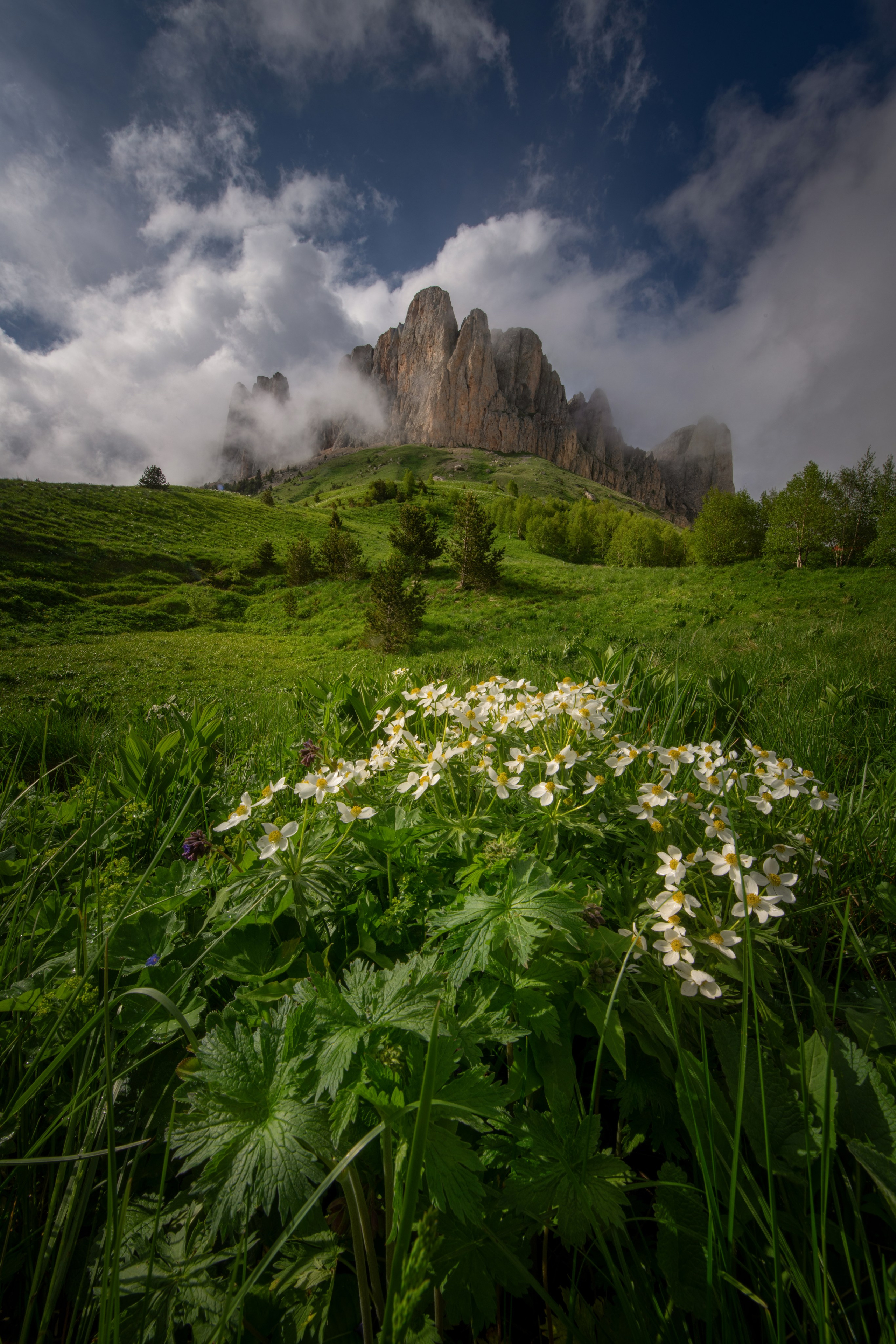 Пейзажи. Пейзажный фотограф Ермолина Елена