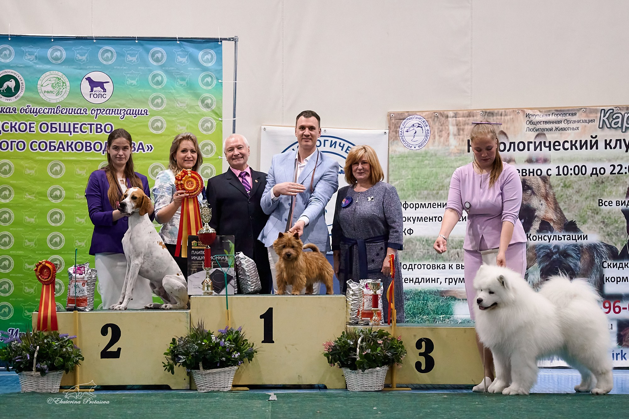 Выставки разное. Фотограф-анималист в Иркутске