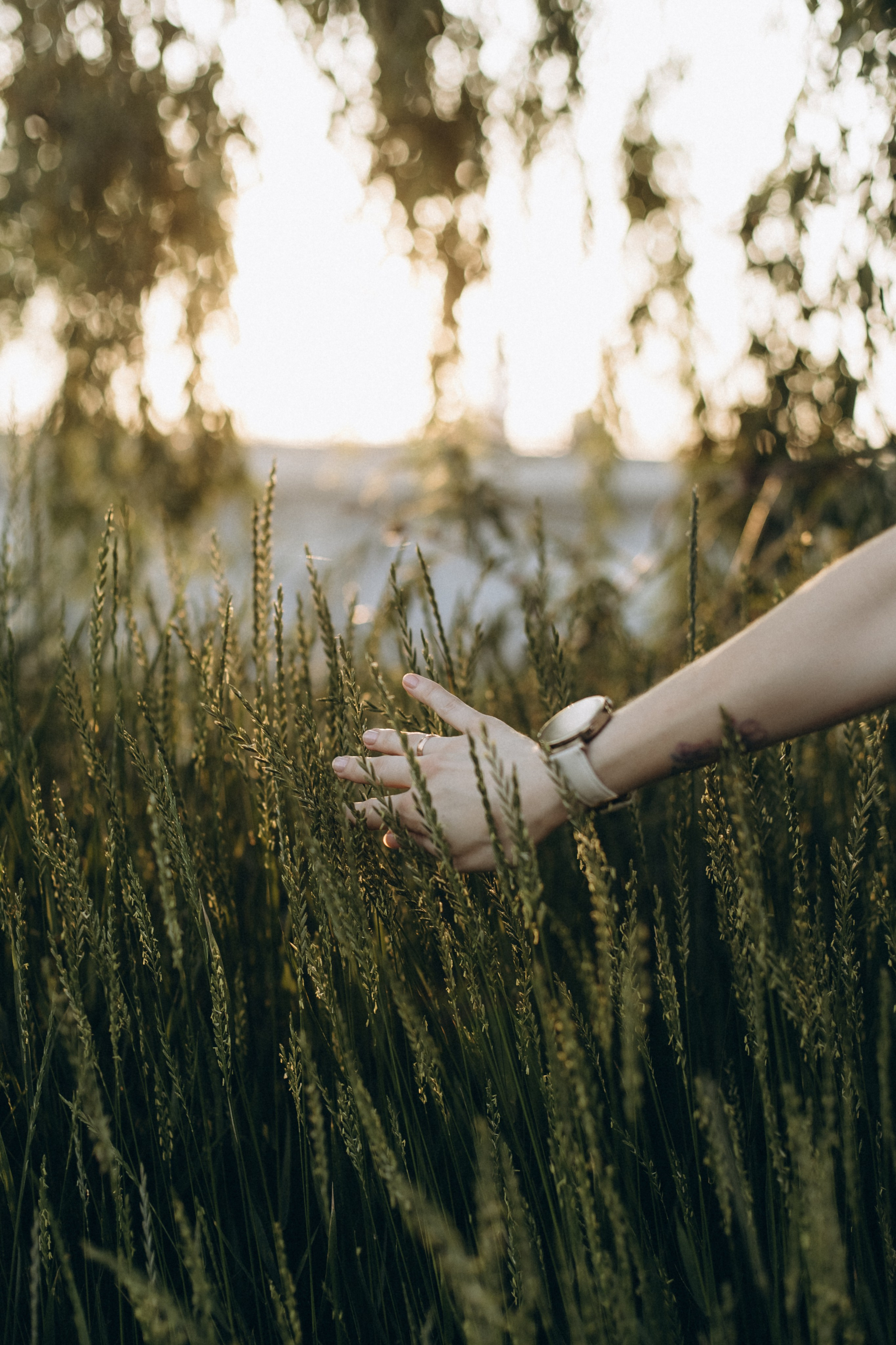 Семья Большаковых. Главная