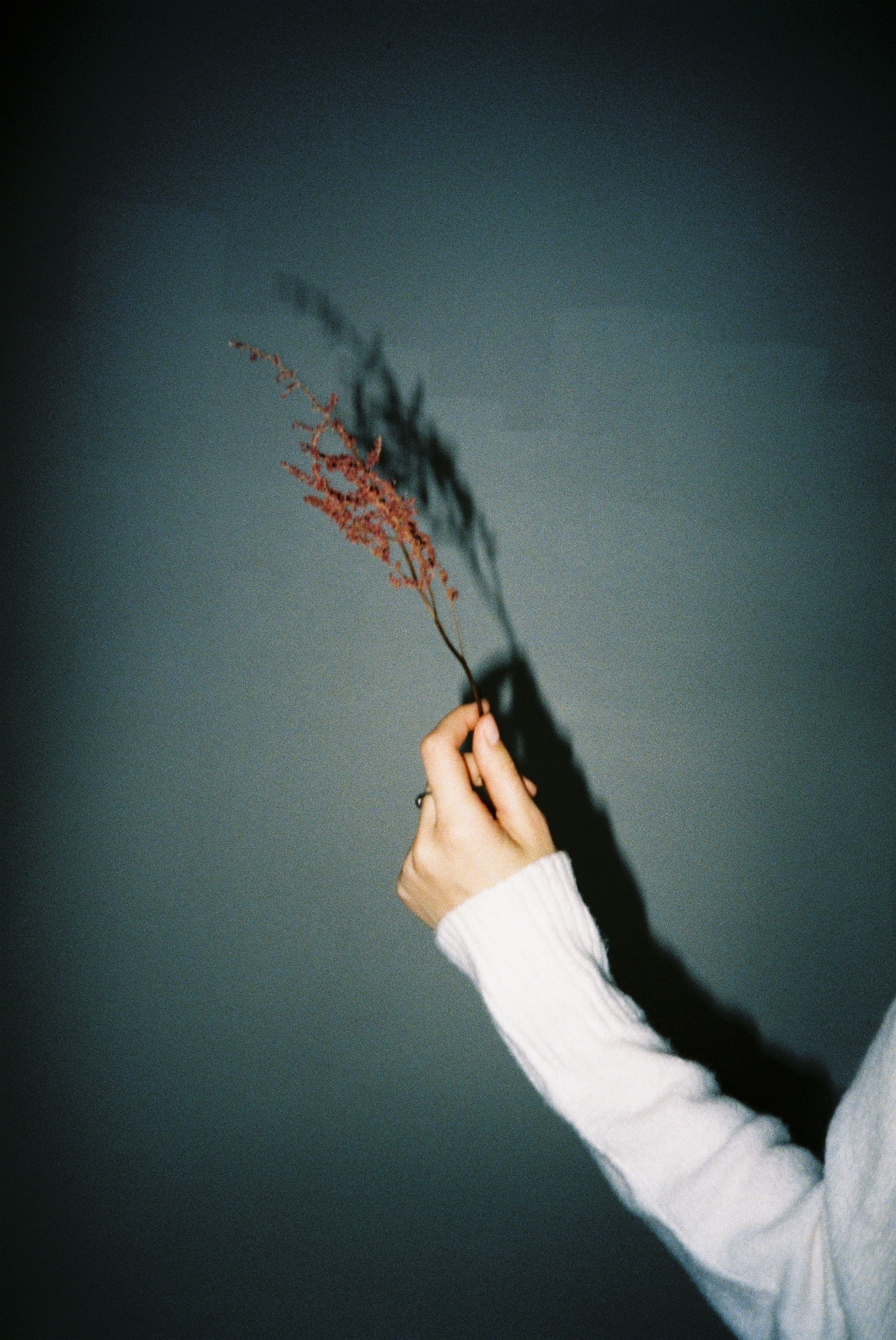 Фотограф в Москве Дарья Гоглева