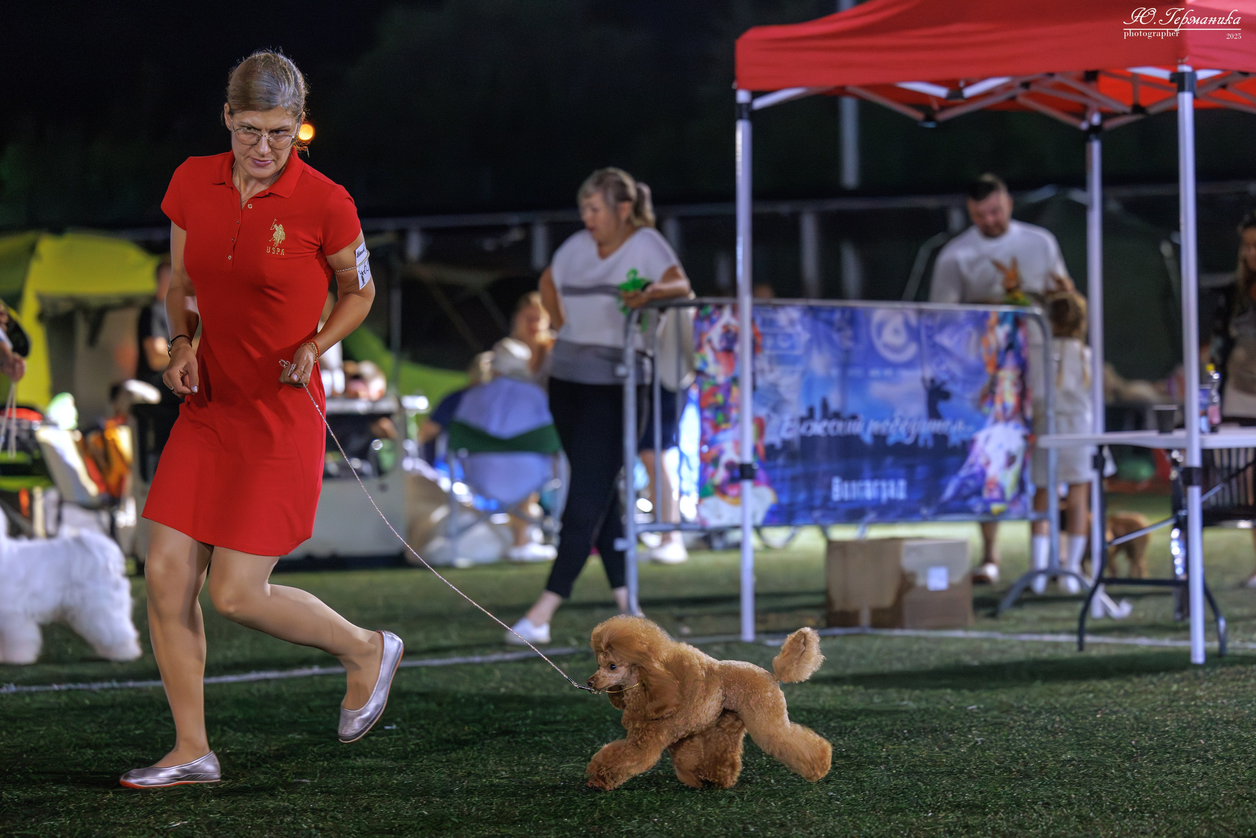 Калининград 25-27.07 Волгоград 1-3.08 2025. Фотограф-анималист Юлия Германика