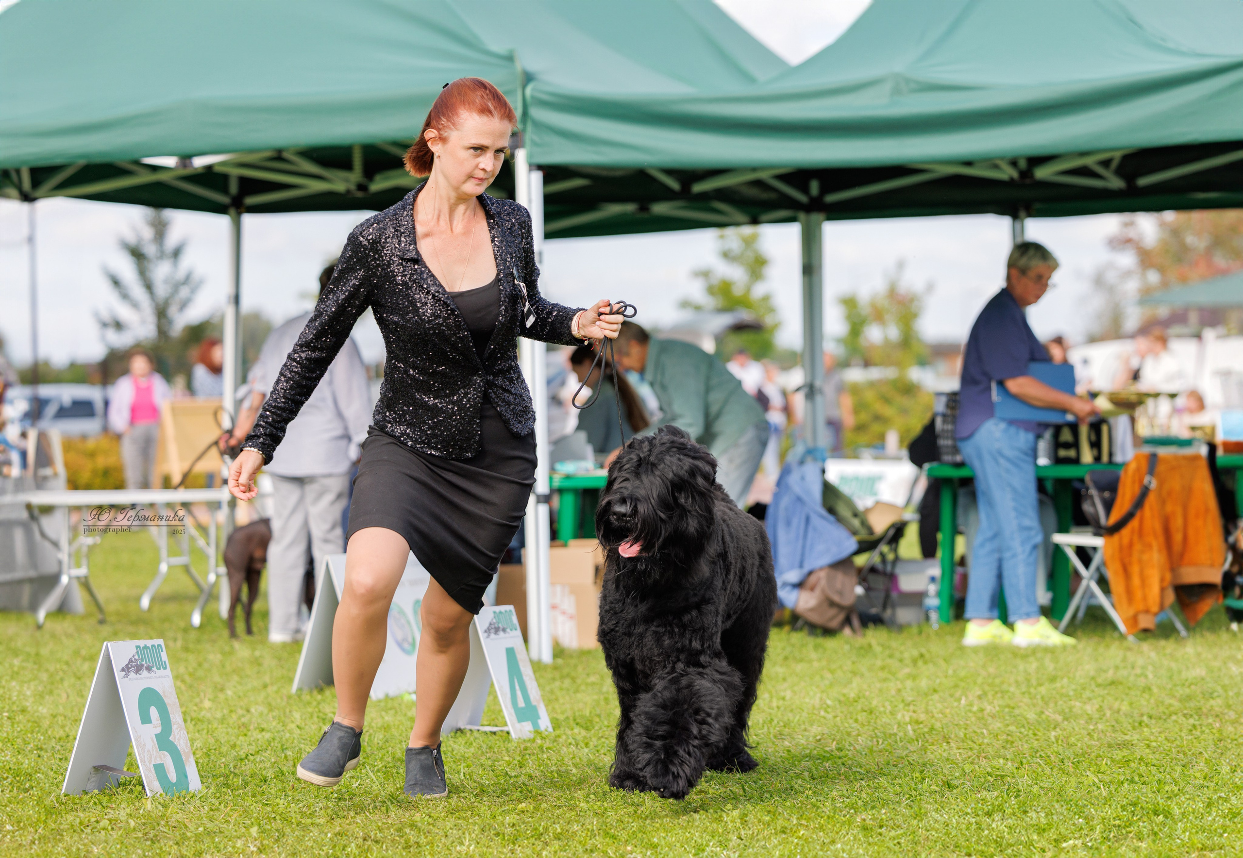 Переславль 5-7.08.2025. Фотограф-анималист Юлия Германика