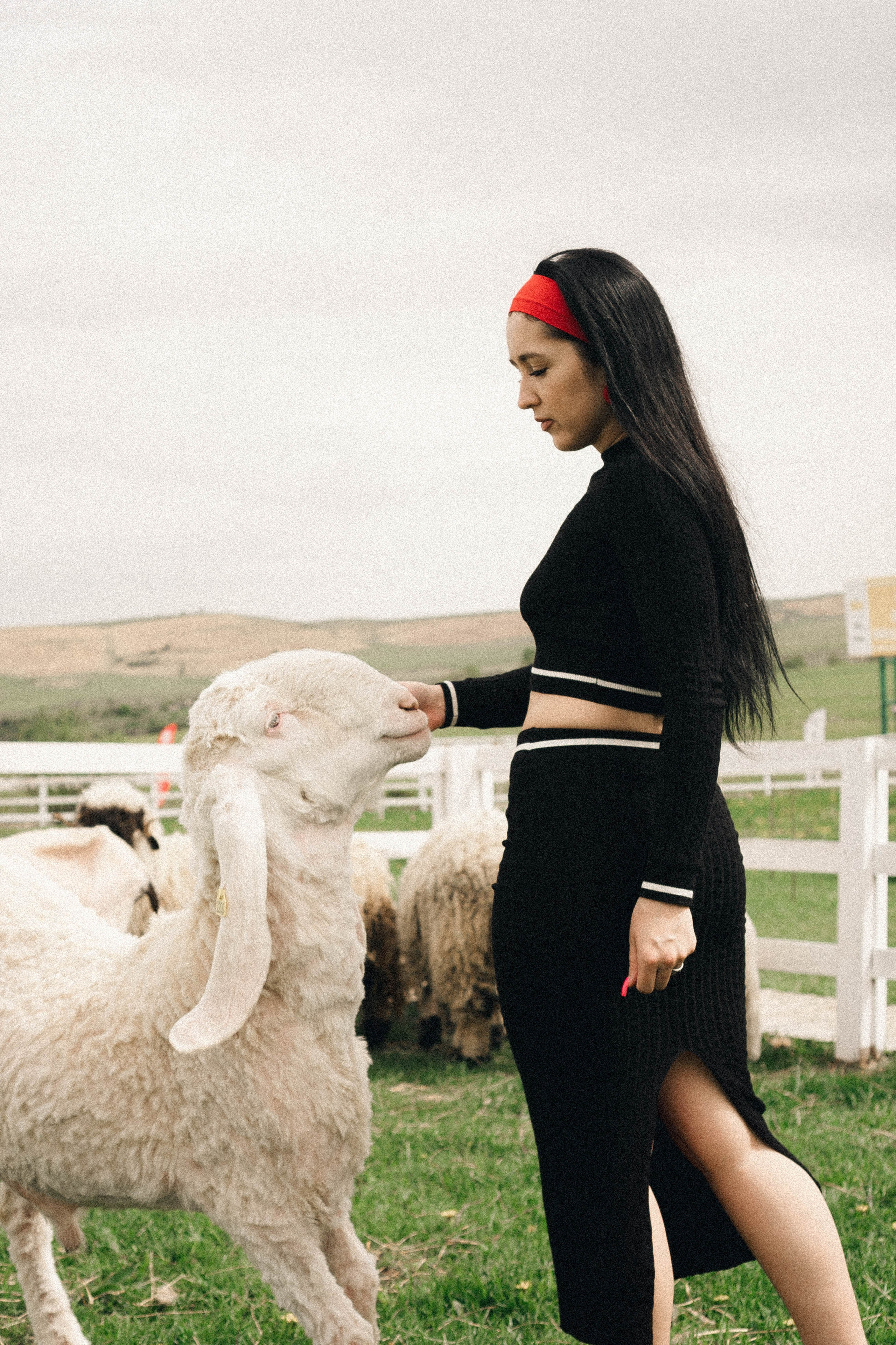 Ферма Альпак. Профессиональный фотограф, Санкт-Петербург — Виктория Богомолова