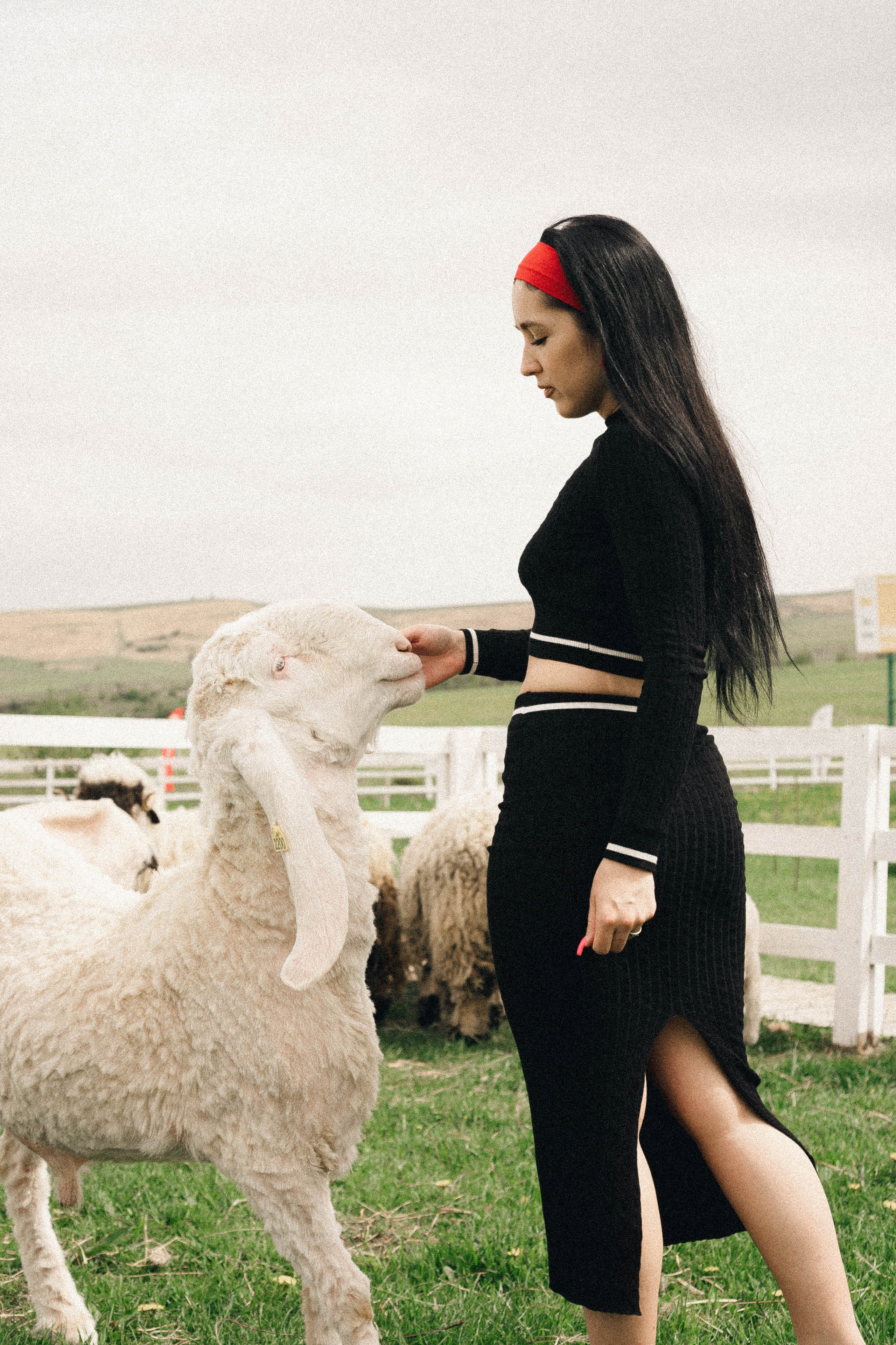 Ферма Альпак. Профессиональный фотограф, Санкт-Петербург — Виктория Богомолова