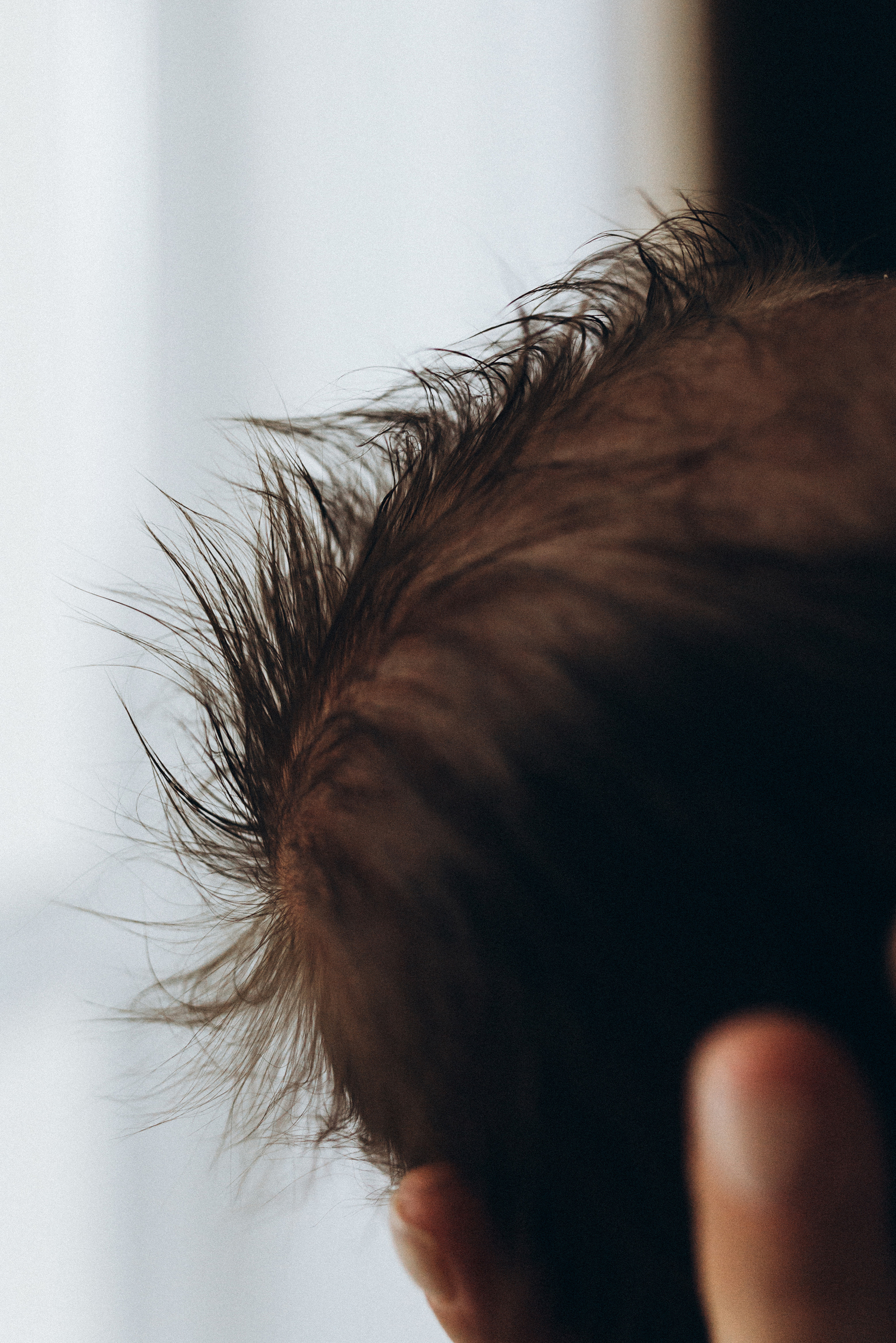 Виталик Настя Платон. Семейный фотограф в Минске и РБ Стеликова Анна