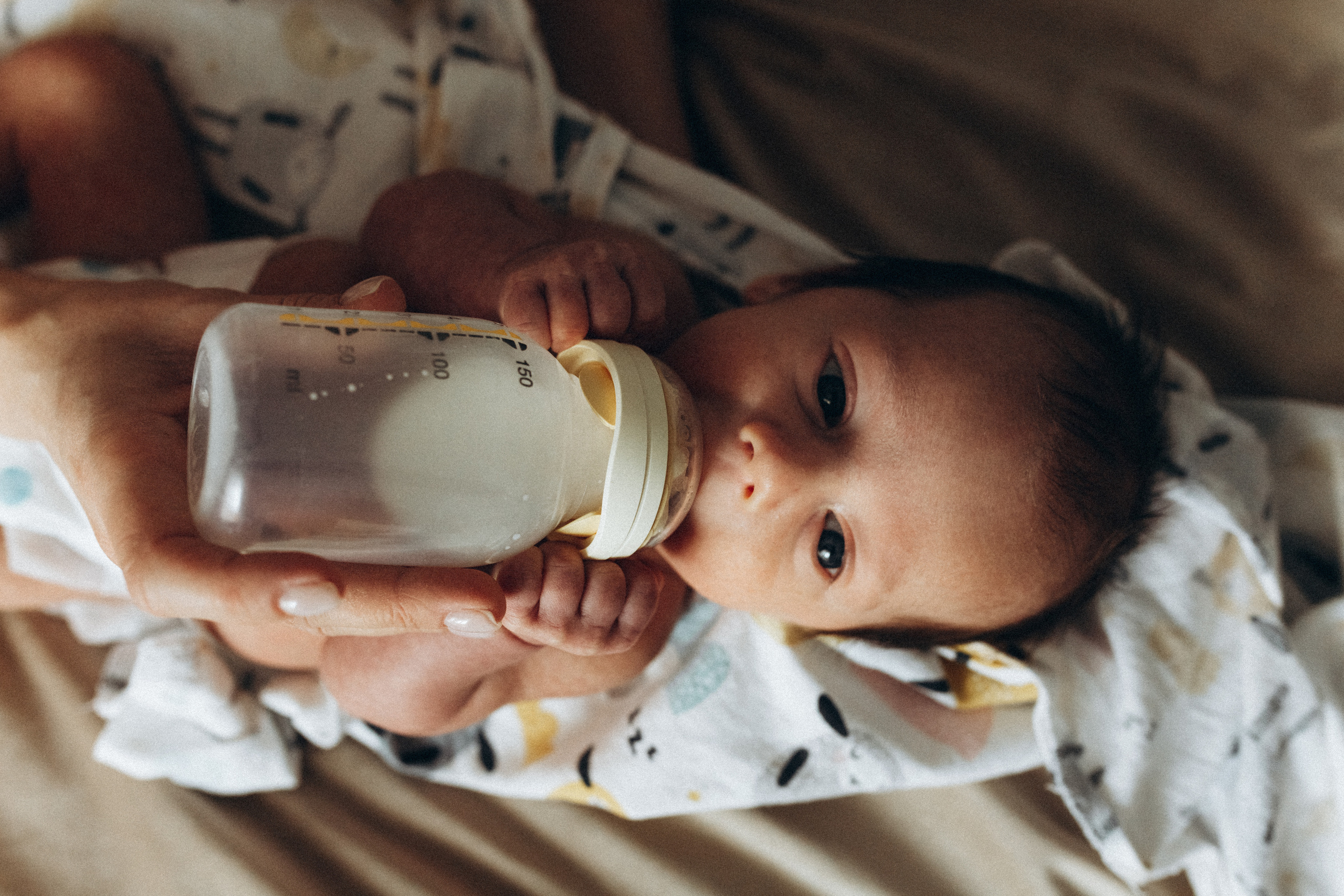 Виталик Настя Платон. Семейный фотограф в Минске и РБ Стеликова Анна