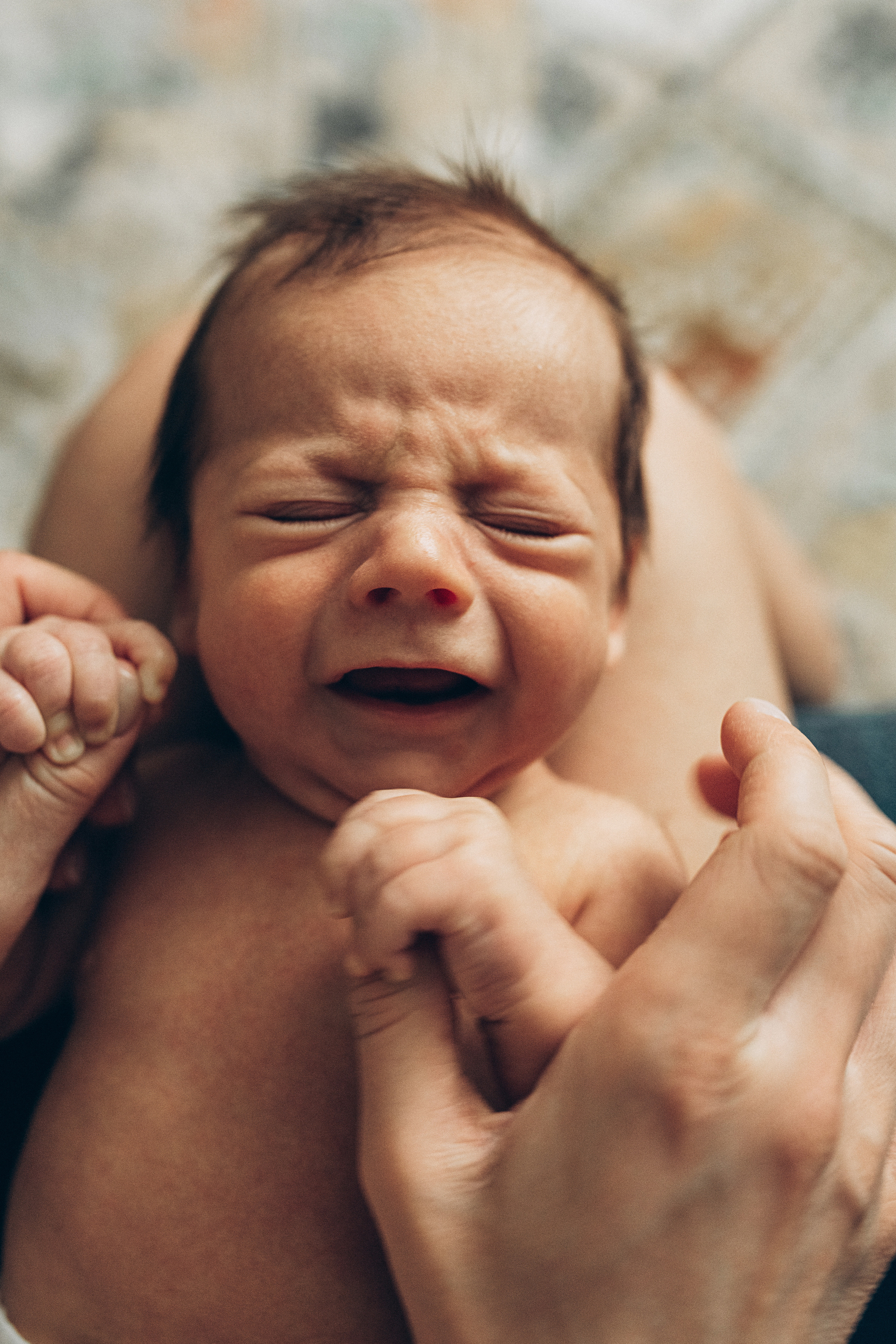 Виталик Настя Платон. Семейный фотограф в Минске и РБ Стеликова Анна