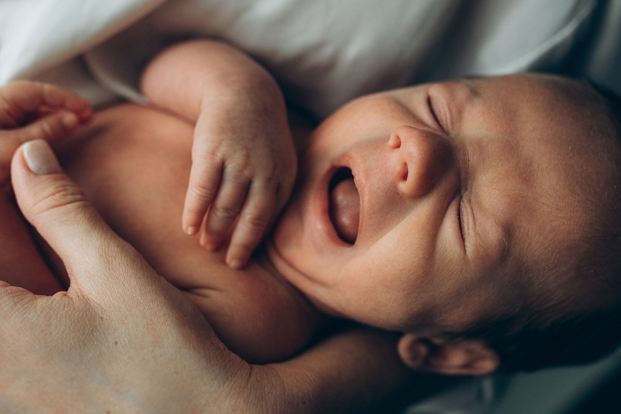 Виталик Настя Платон. Семейный фотограф в Минске и РБ Стеликова Анна