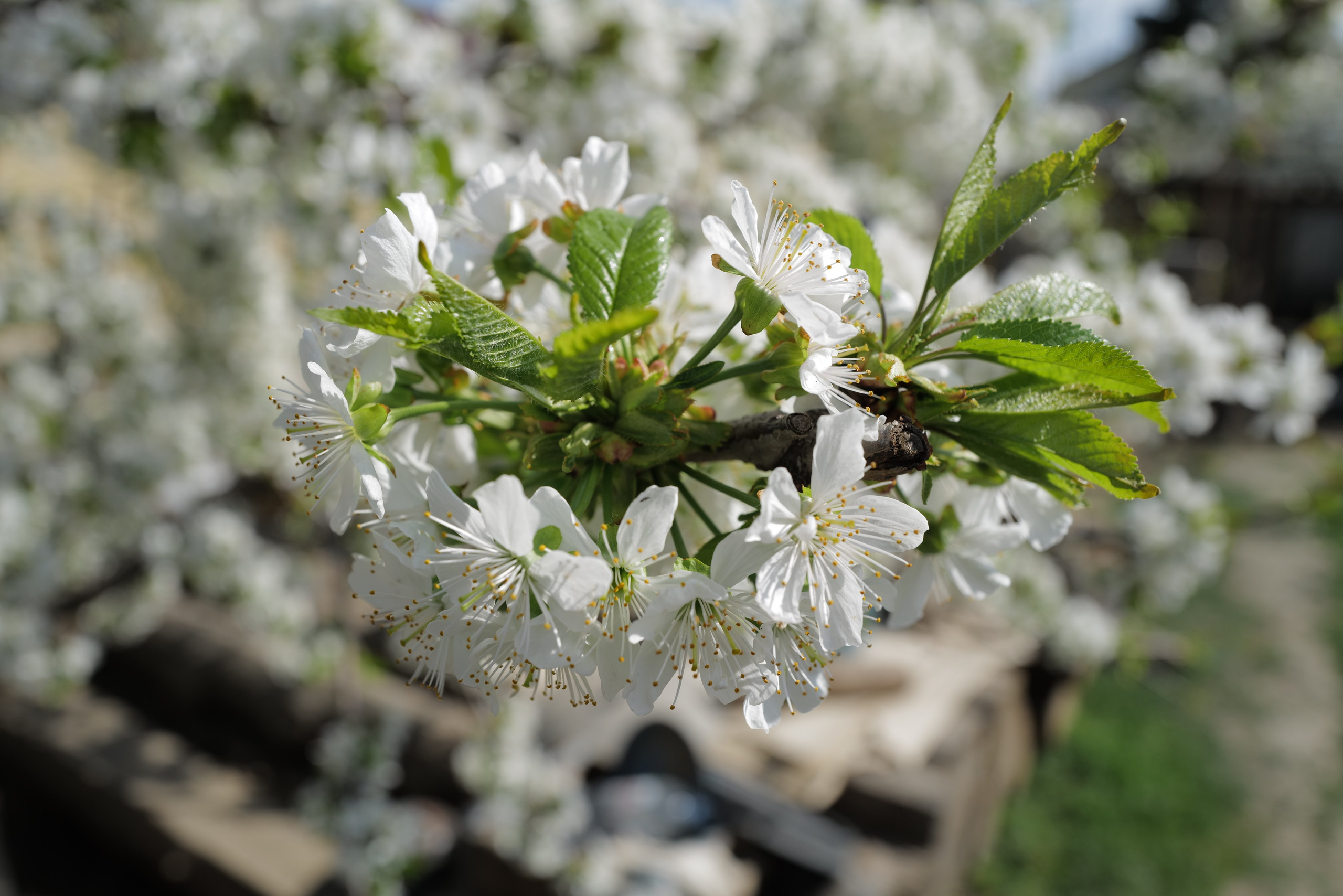 Творческий фотограф/видеограф в Астрахани Абушаев Ренат