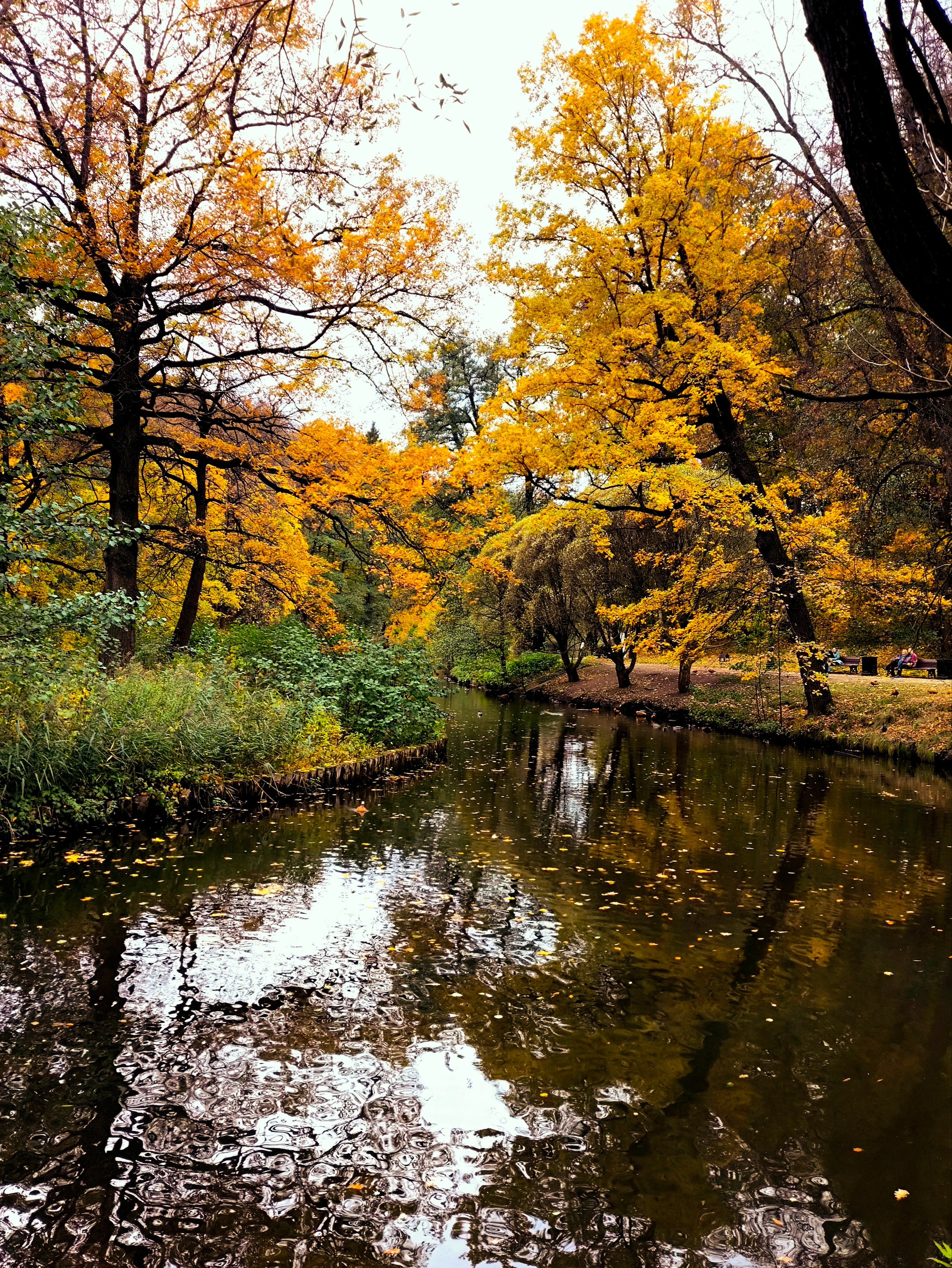 ПЕЙЗАЖ. Коммерческий фотограф