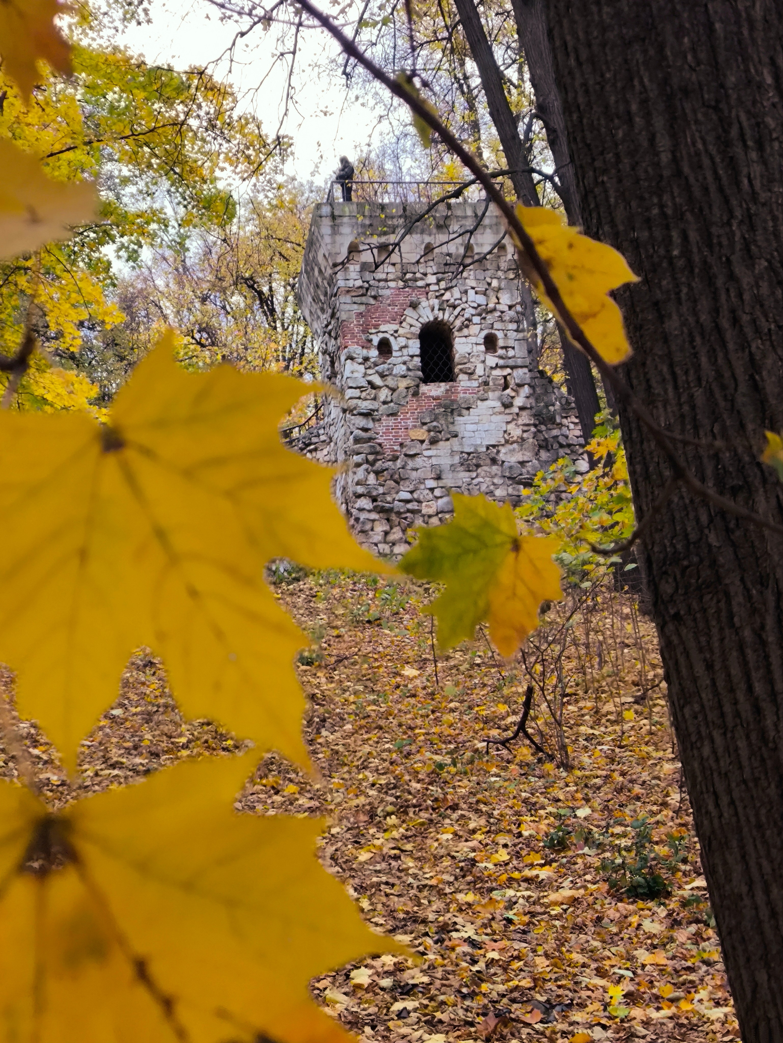 ПЕЙЗАЖ. Коммерческий фотограф