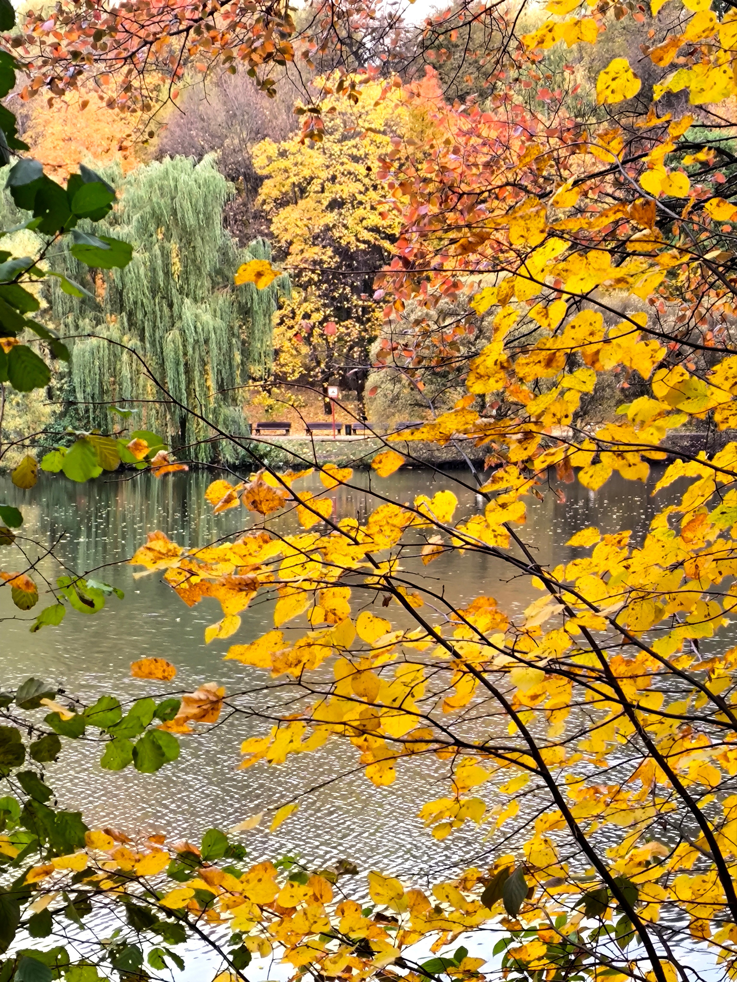 ПЕЙЗАЖ. Коммерческий фотограф