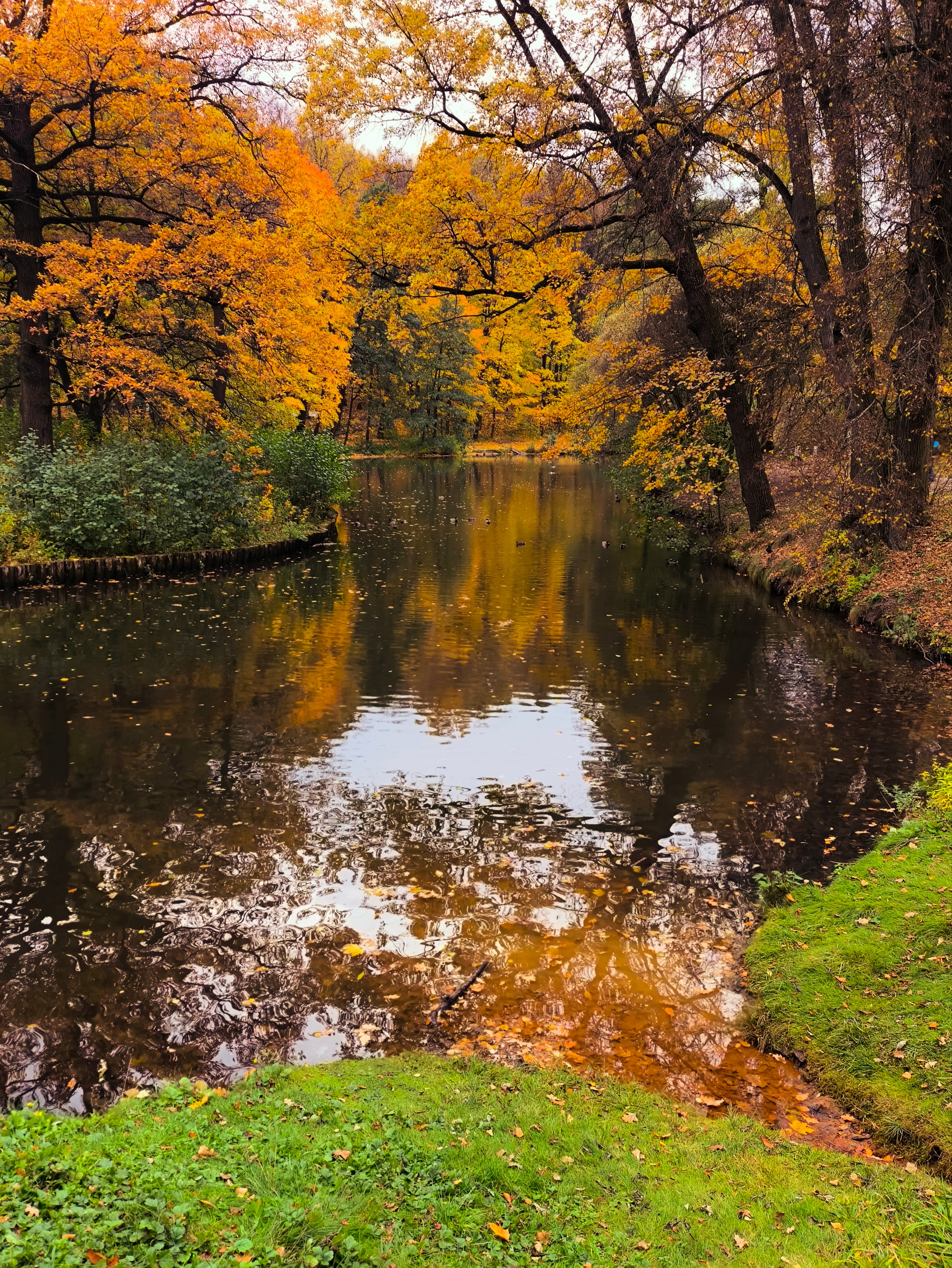 ПЕЙЗАЖ. Коммерческий фотограф