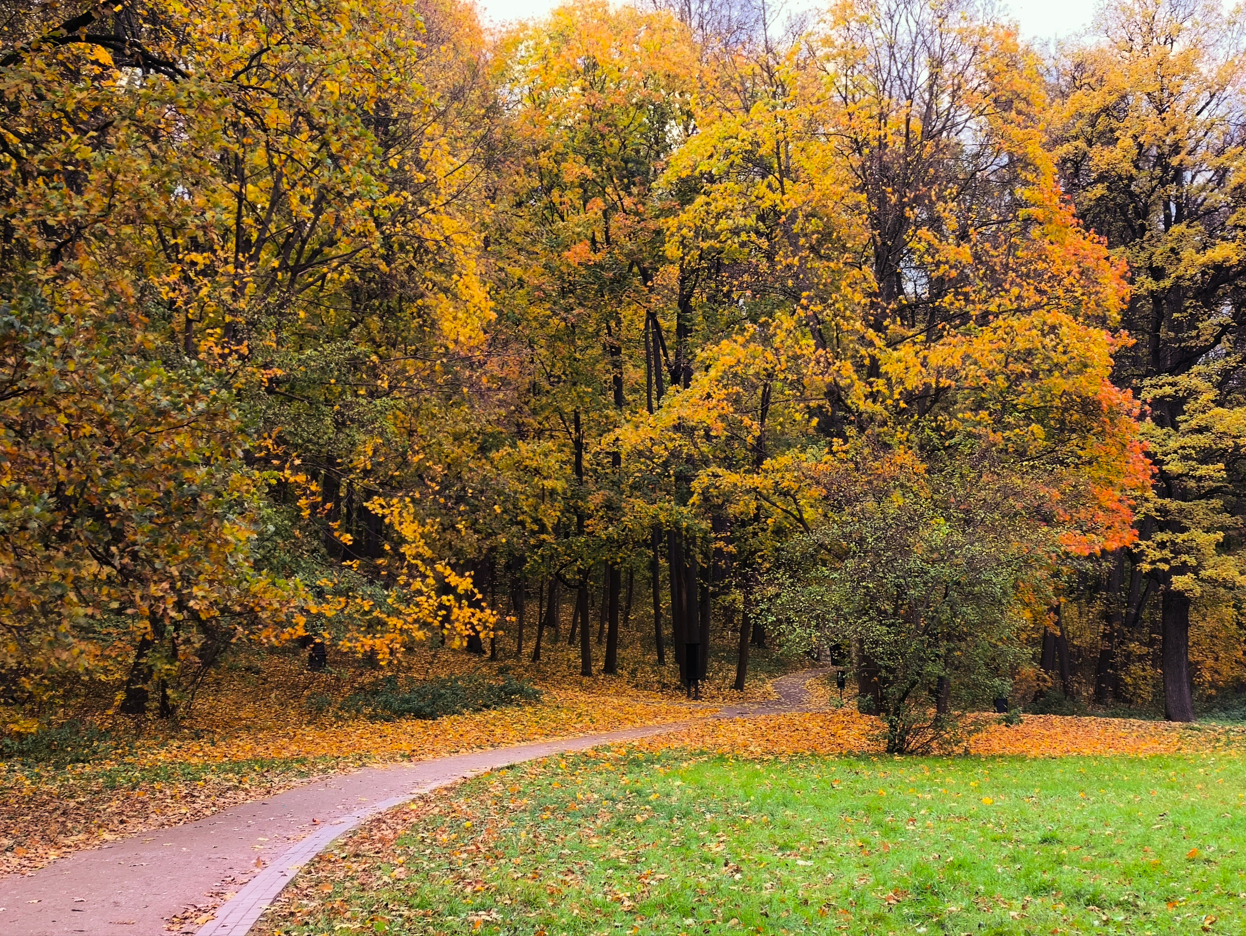 ПЕЙЗАЖ. Коммерческий фотограф