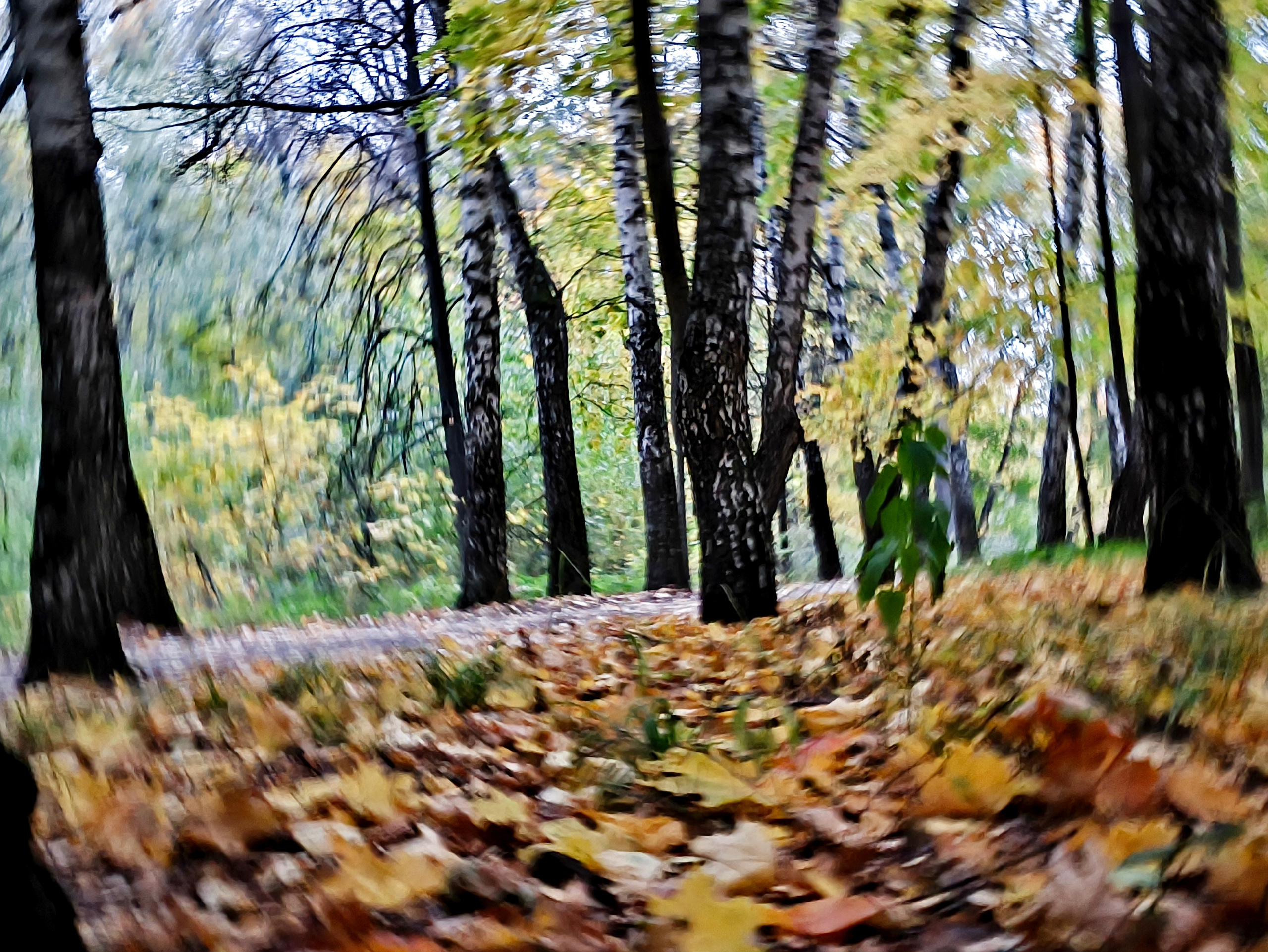 ПЕЙЗАЖ. Коммерческий фотограф