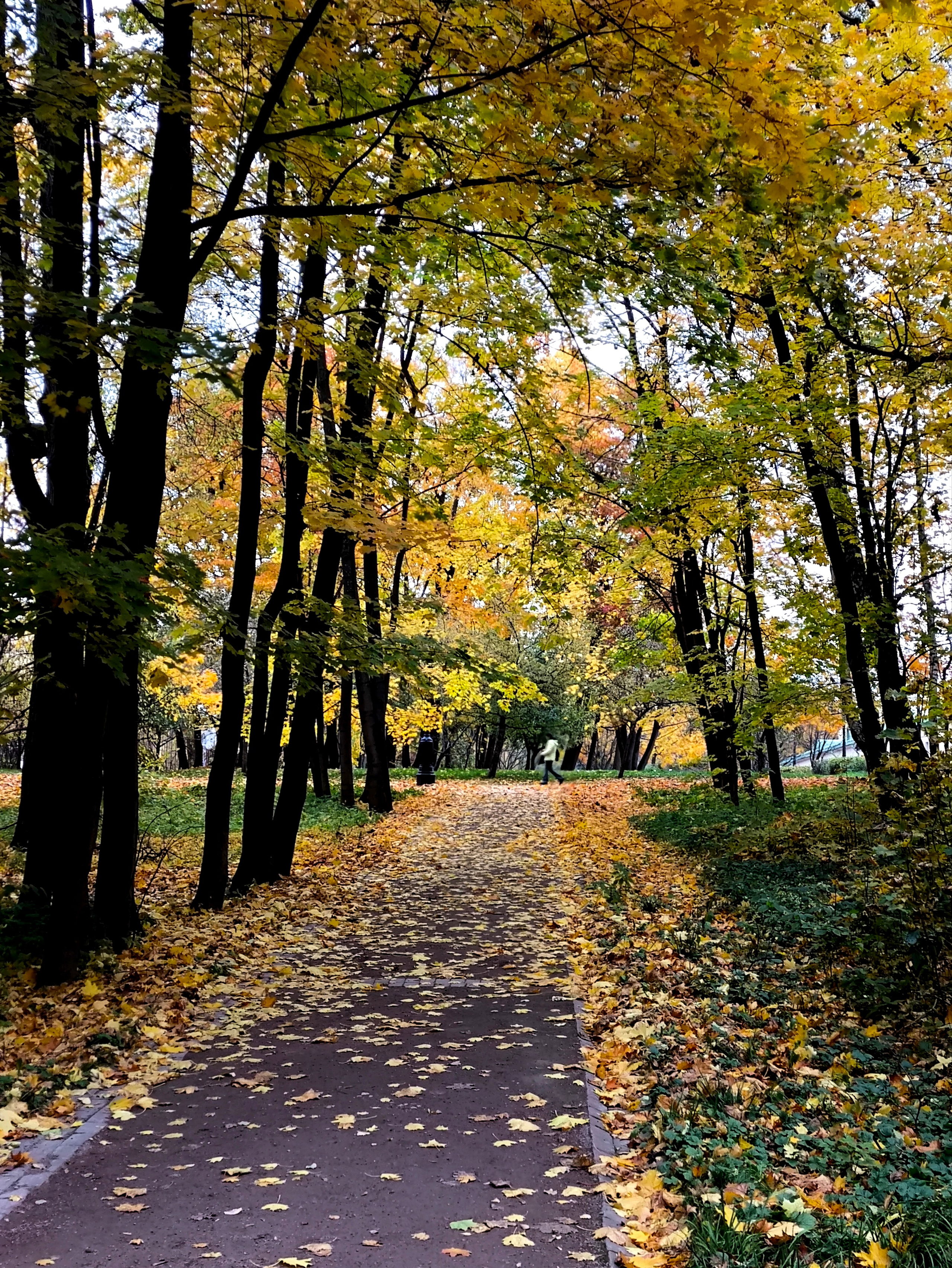 ПЕЙЗАЖ. Коммерческий фотограф