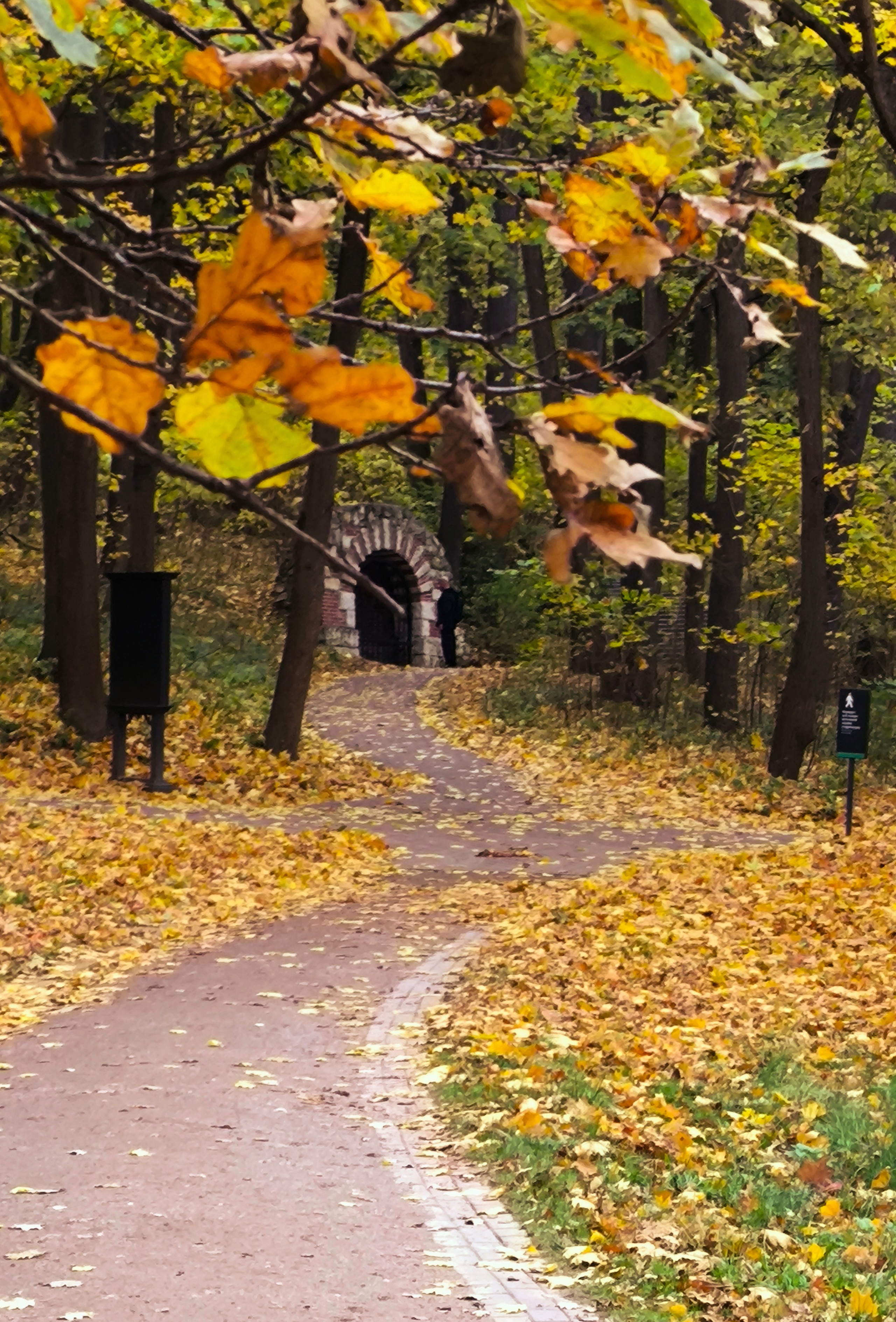 ПЕЙЗАЖ. Коммерческий фотограф