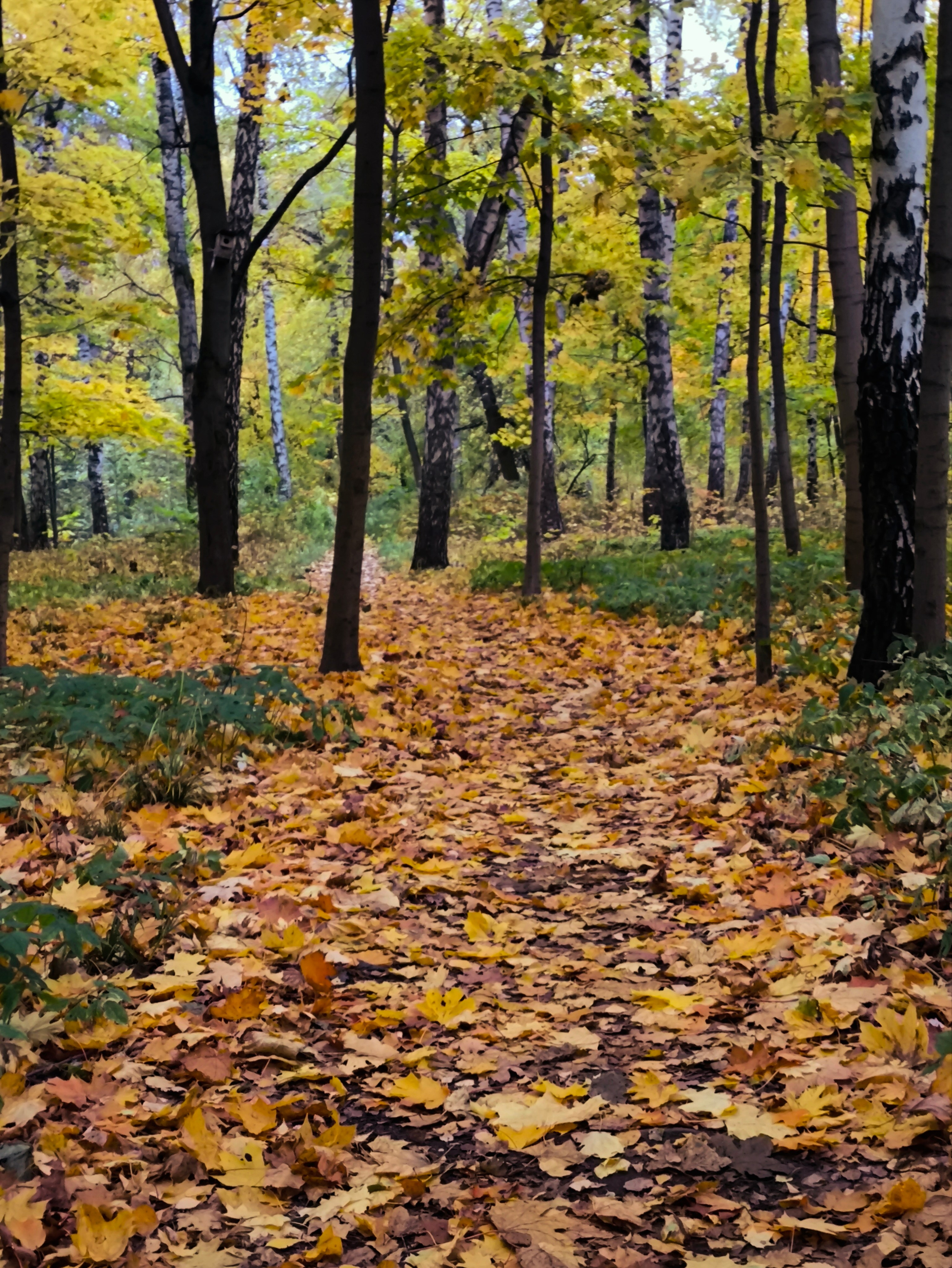 ПЕЙЗАЖ. Коммерческий фотограф