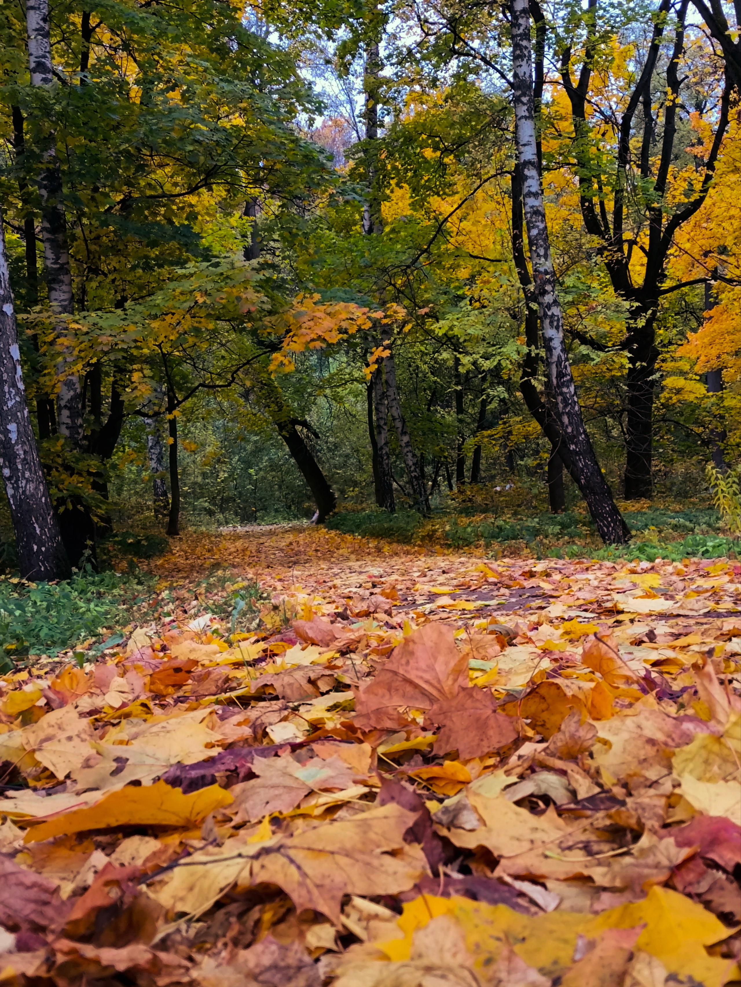ПЕЙЗАЖ. Коммерческий фотограф